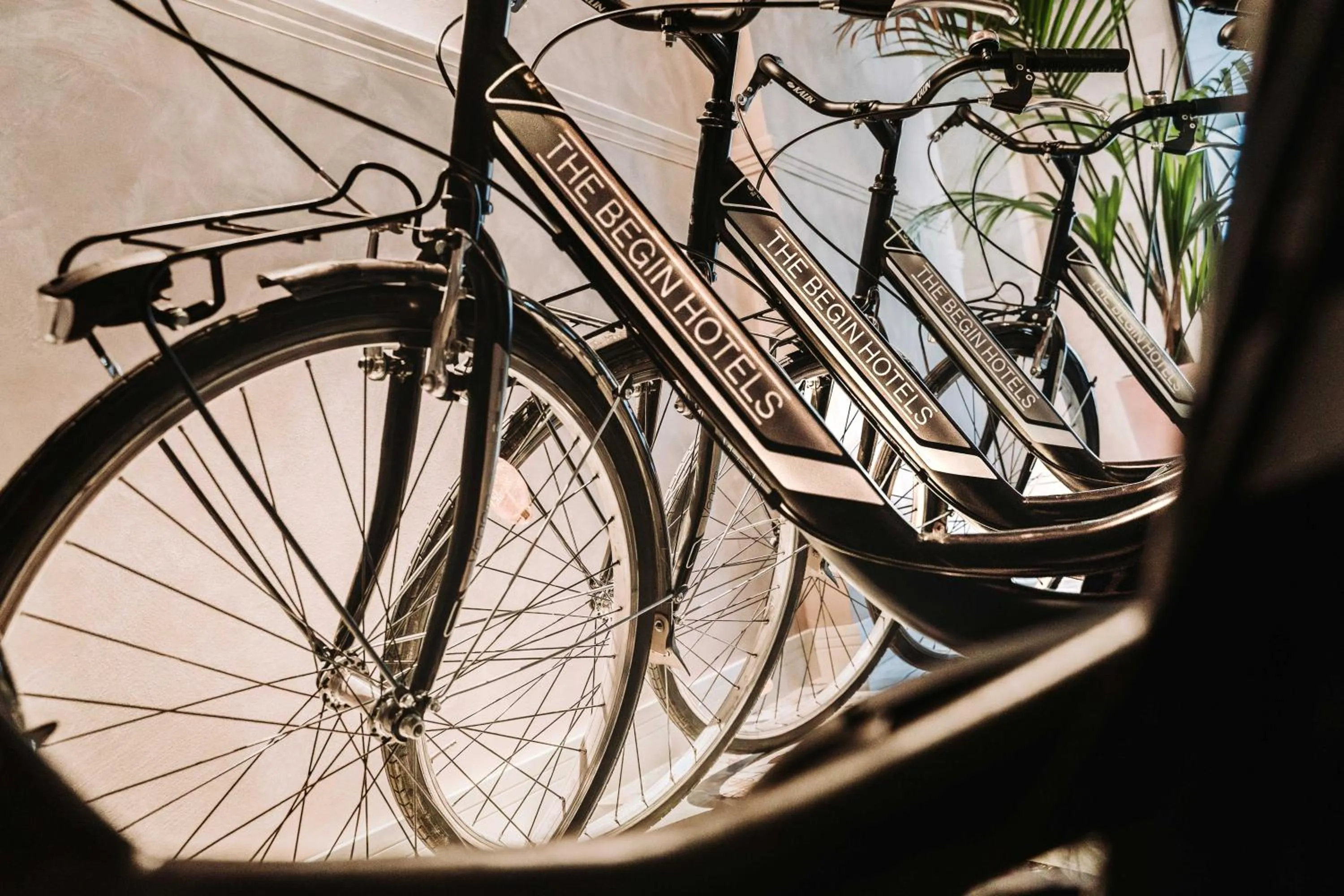 Cycling in Casa D'Este - Hotel Ferrara