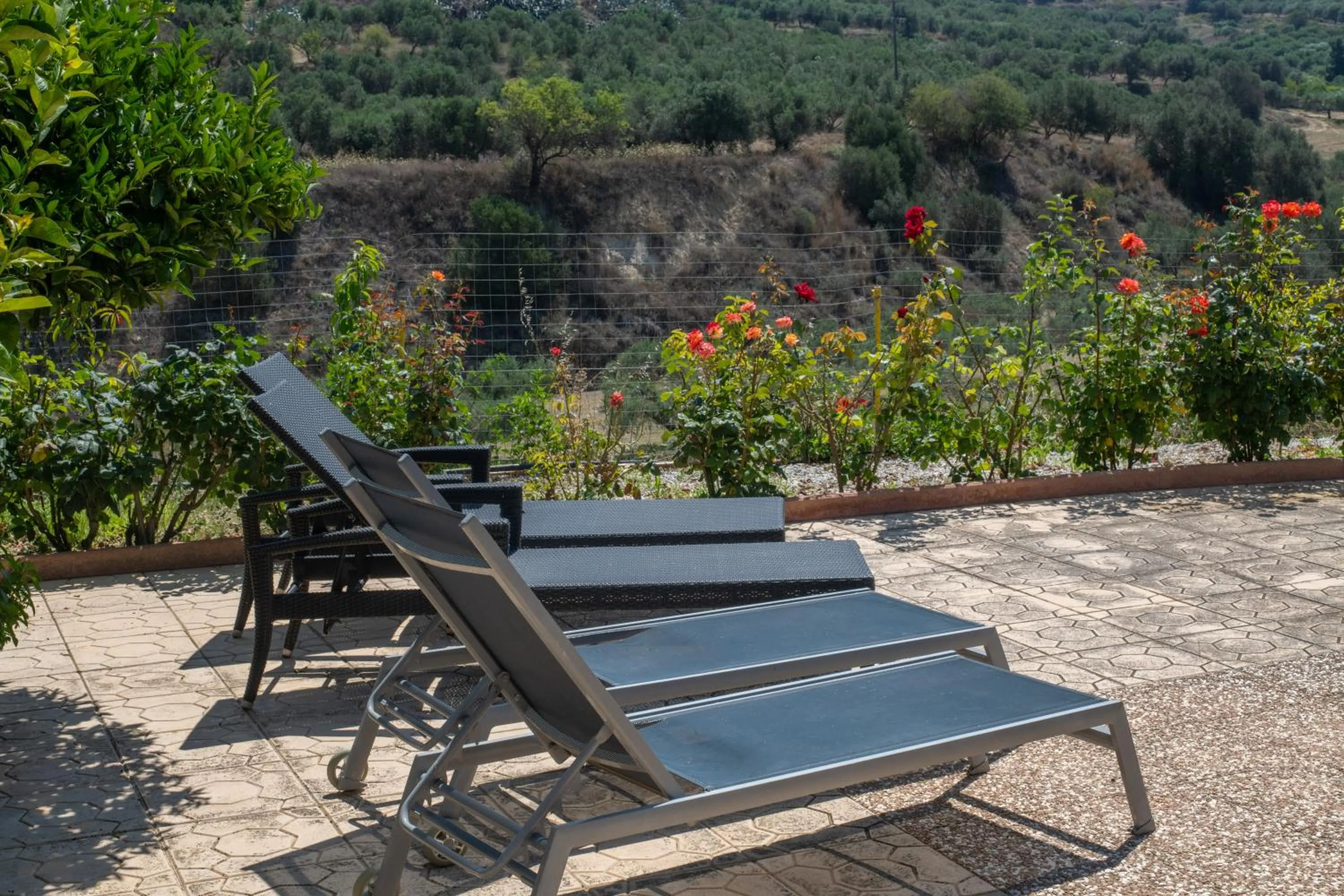 Garden in Aelia Home