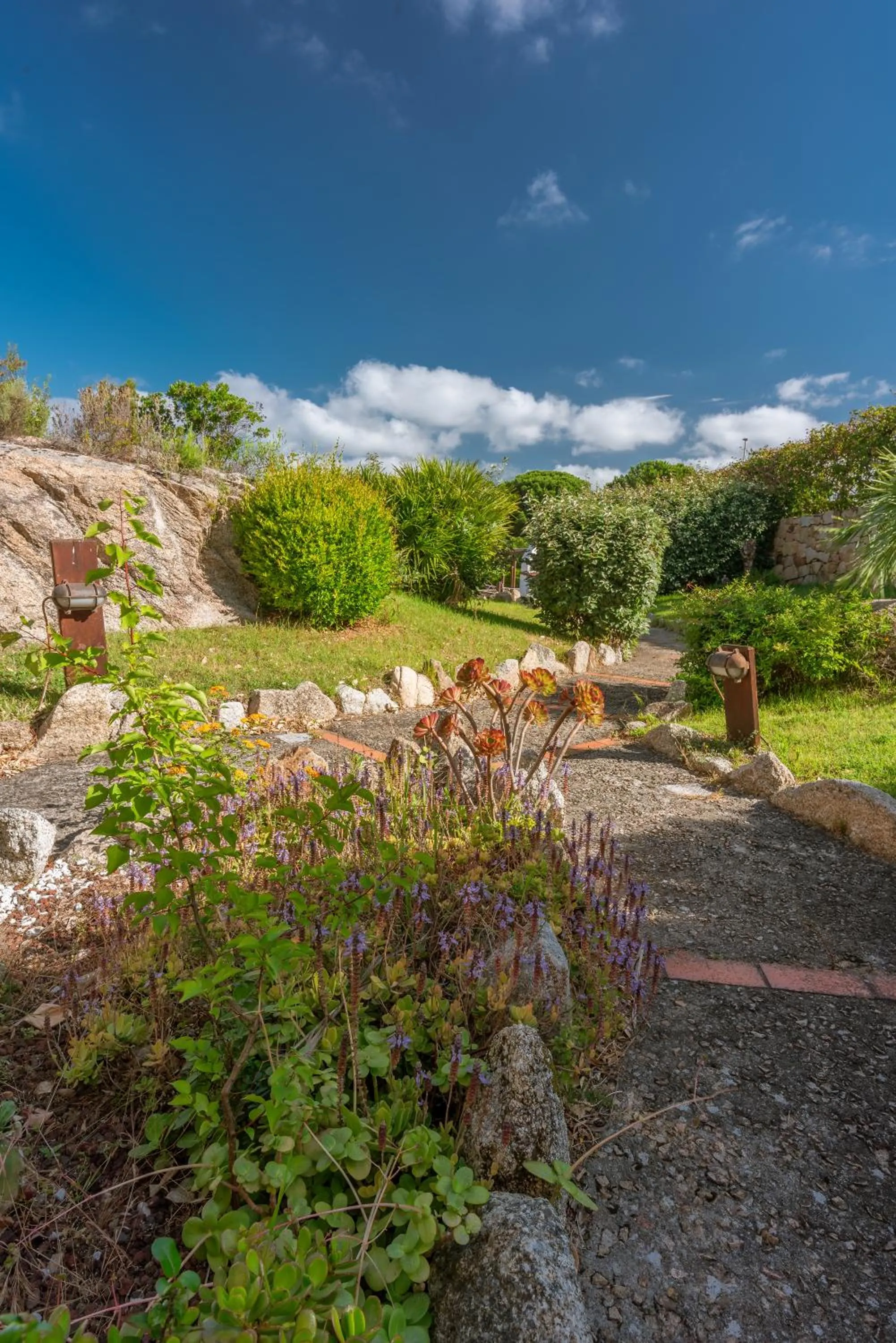 Garden in Palau Green Village