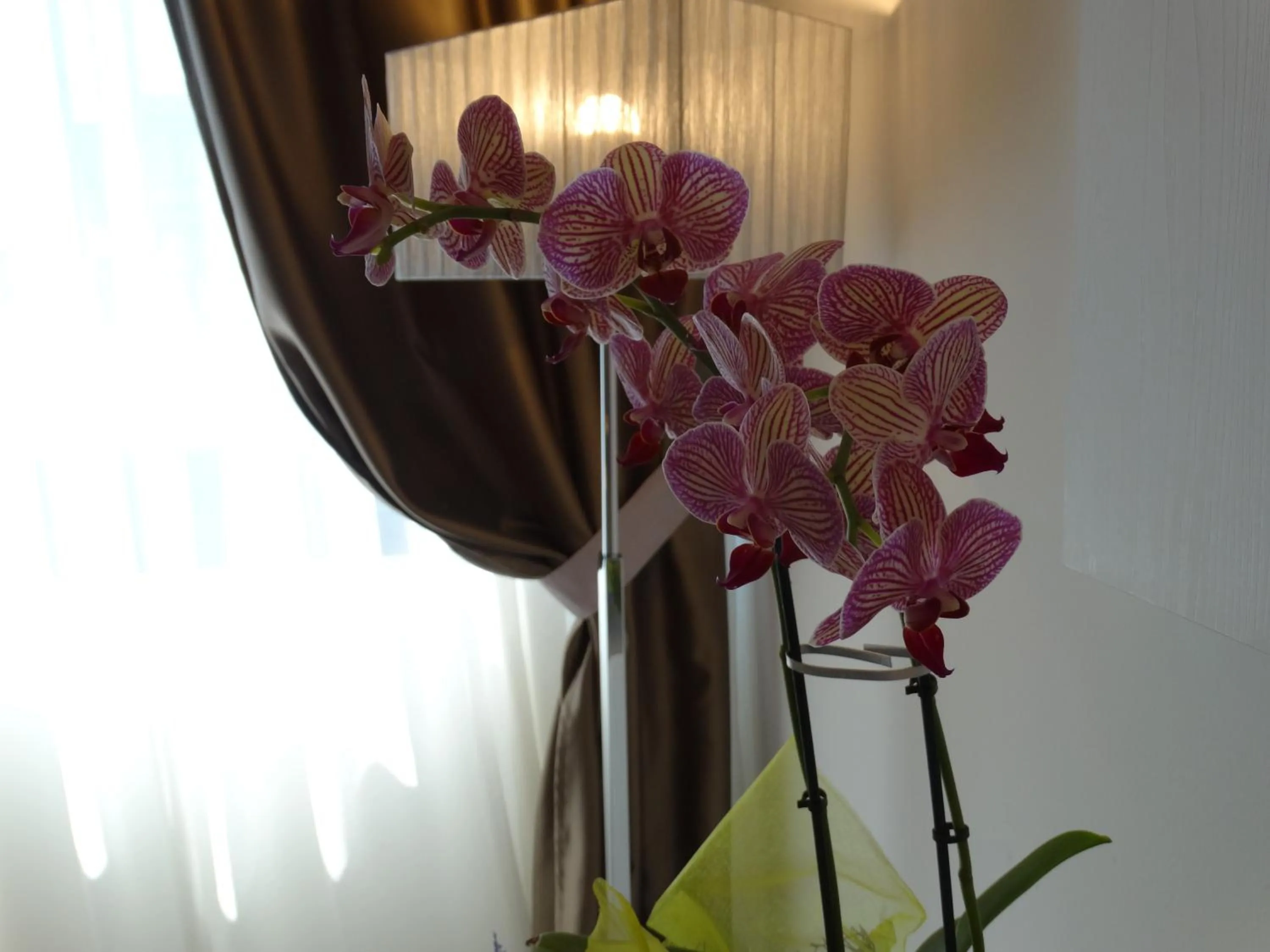 Decorative detail in Toscana Ambassador