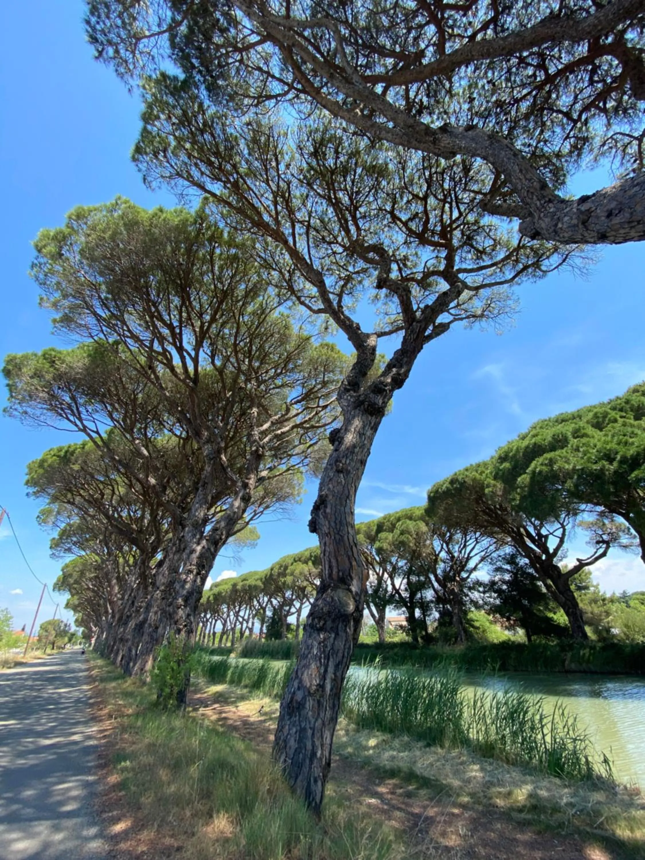 Nearby landmark in Le Relais d'Affiac
