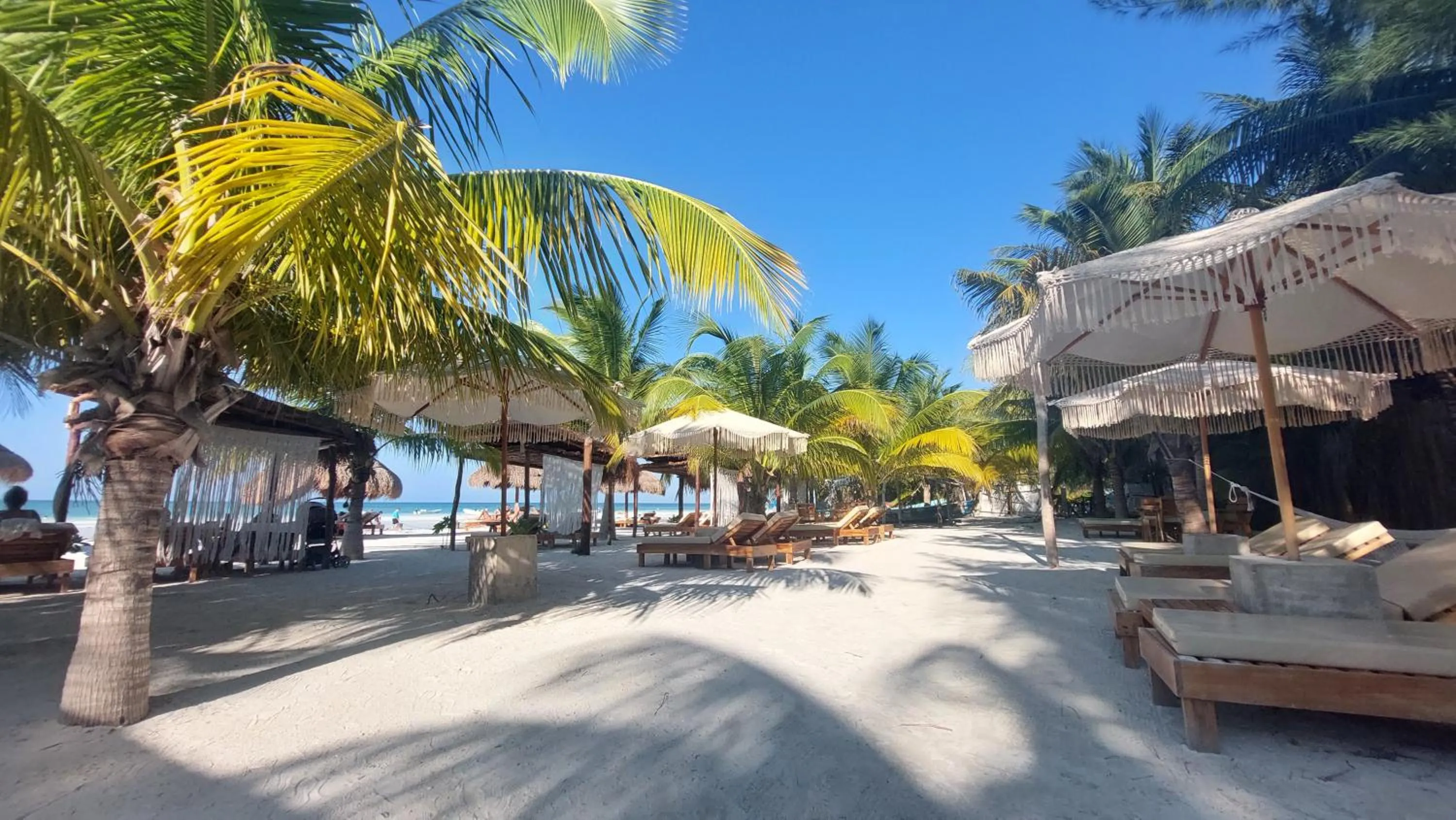 Natural landscape in 'Syrena Luxury Caribbean' Heart of Playa del Carmen - Fast Wi-fi - Sea Views