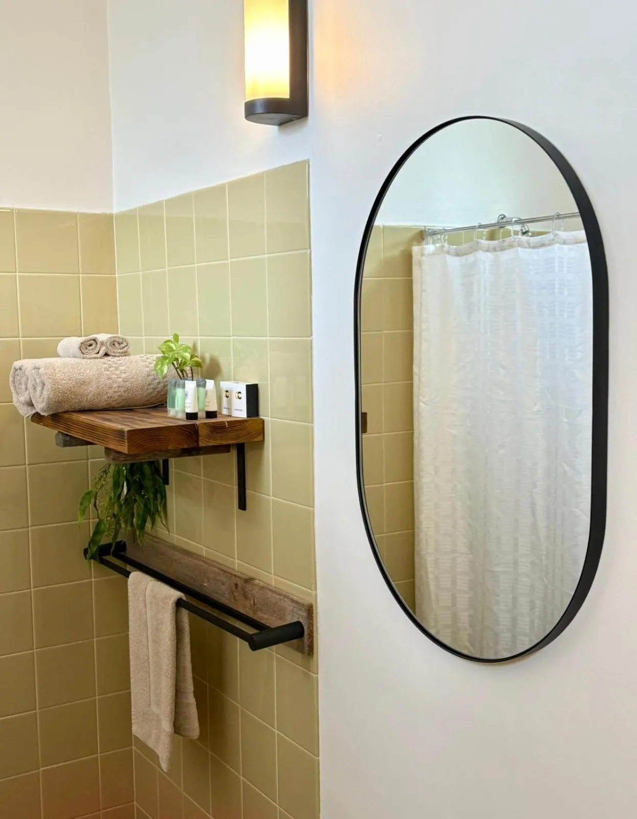 Angaston Vineyards Motel