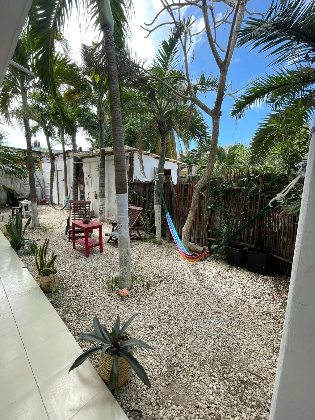 Garden in Brisa Del Mar