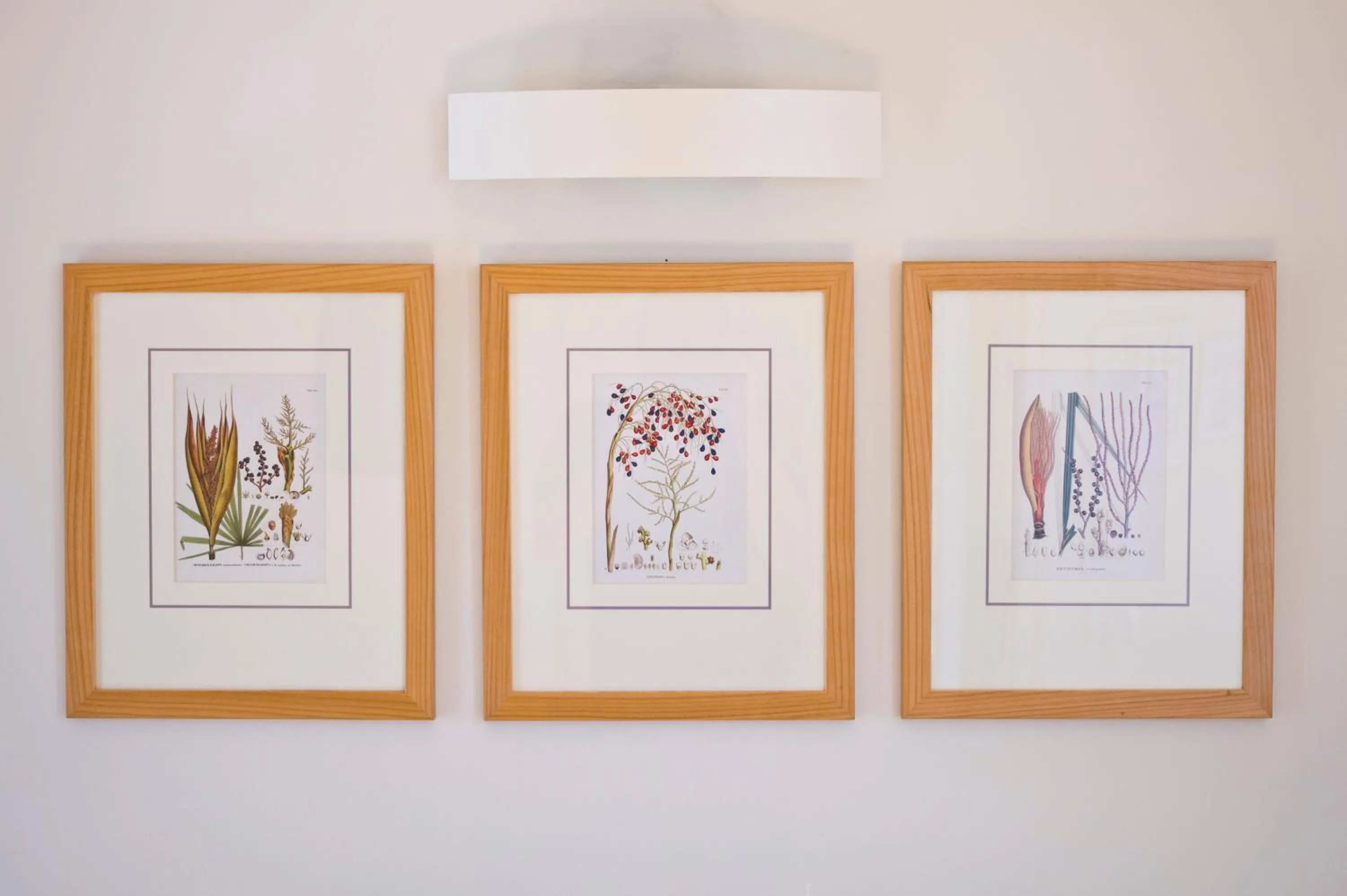 Decorative detail in Residence Hilda