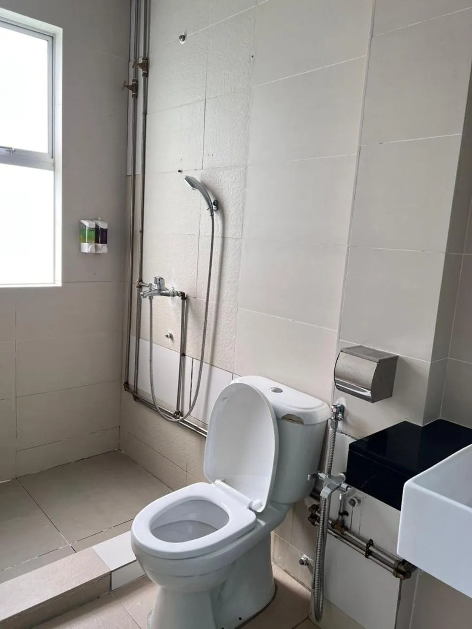 Dear Dino Villa Cameron Highlands