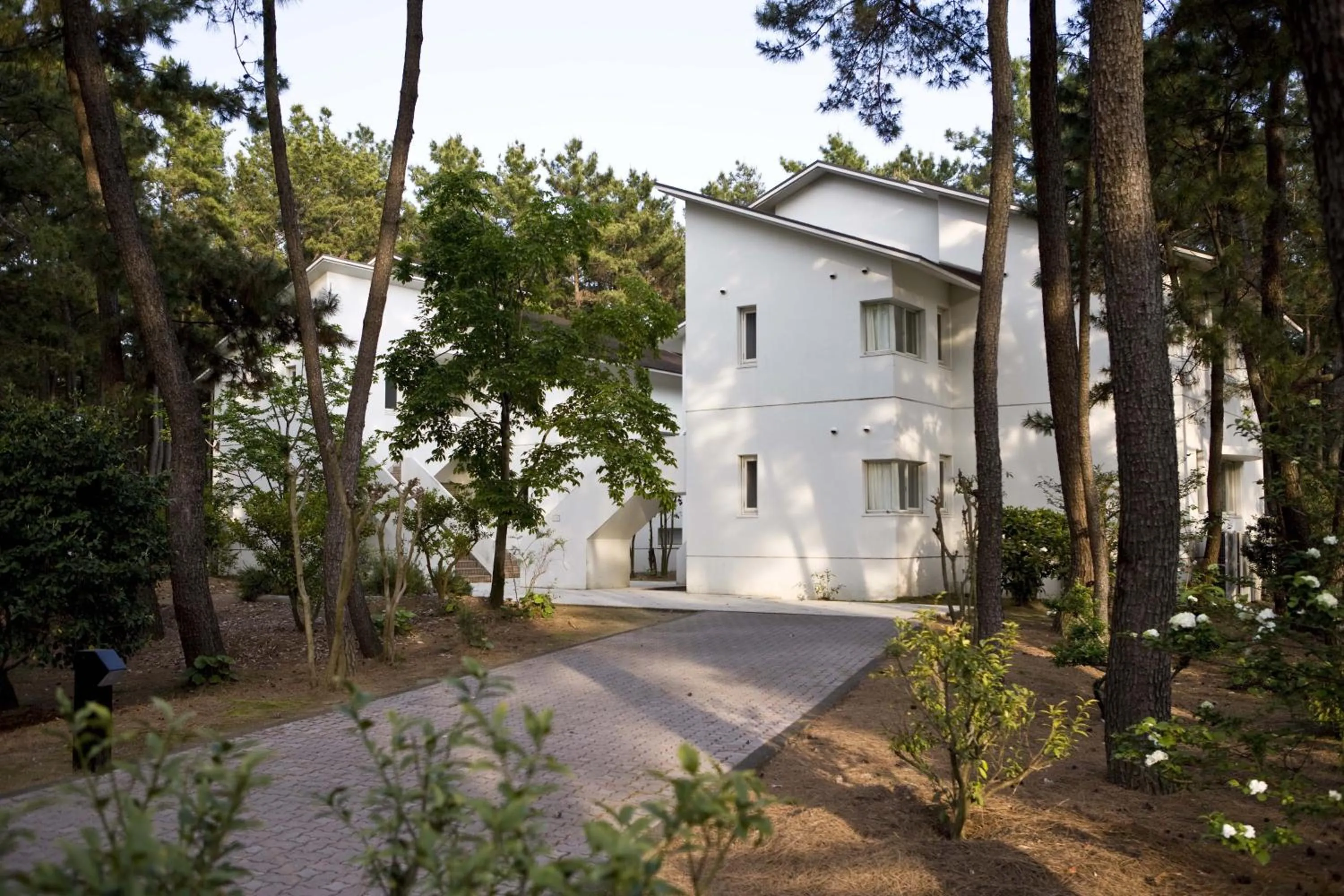 Property building in Luxze Hitotsuba/Cottage Himuka