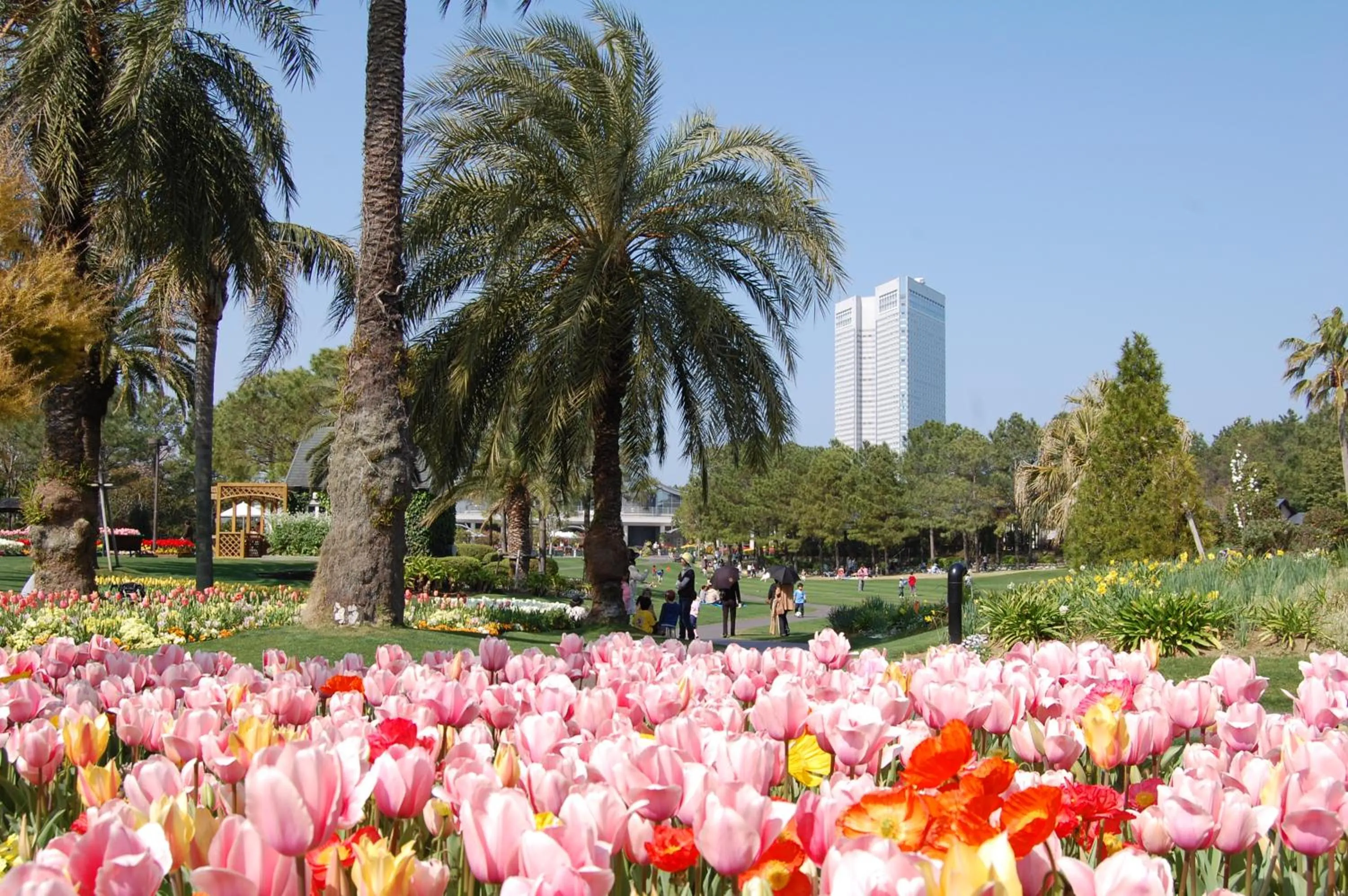 Nearby landmark in Seagaia Forest Cottages