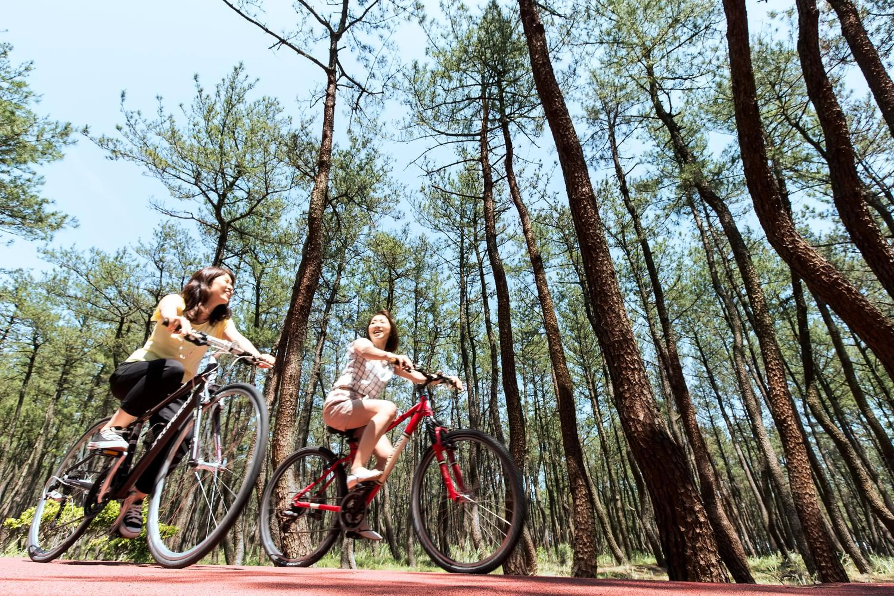 Cycling in Seagaia Forest Cottages