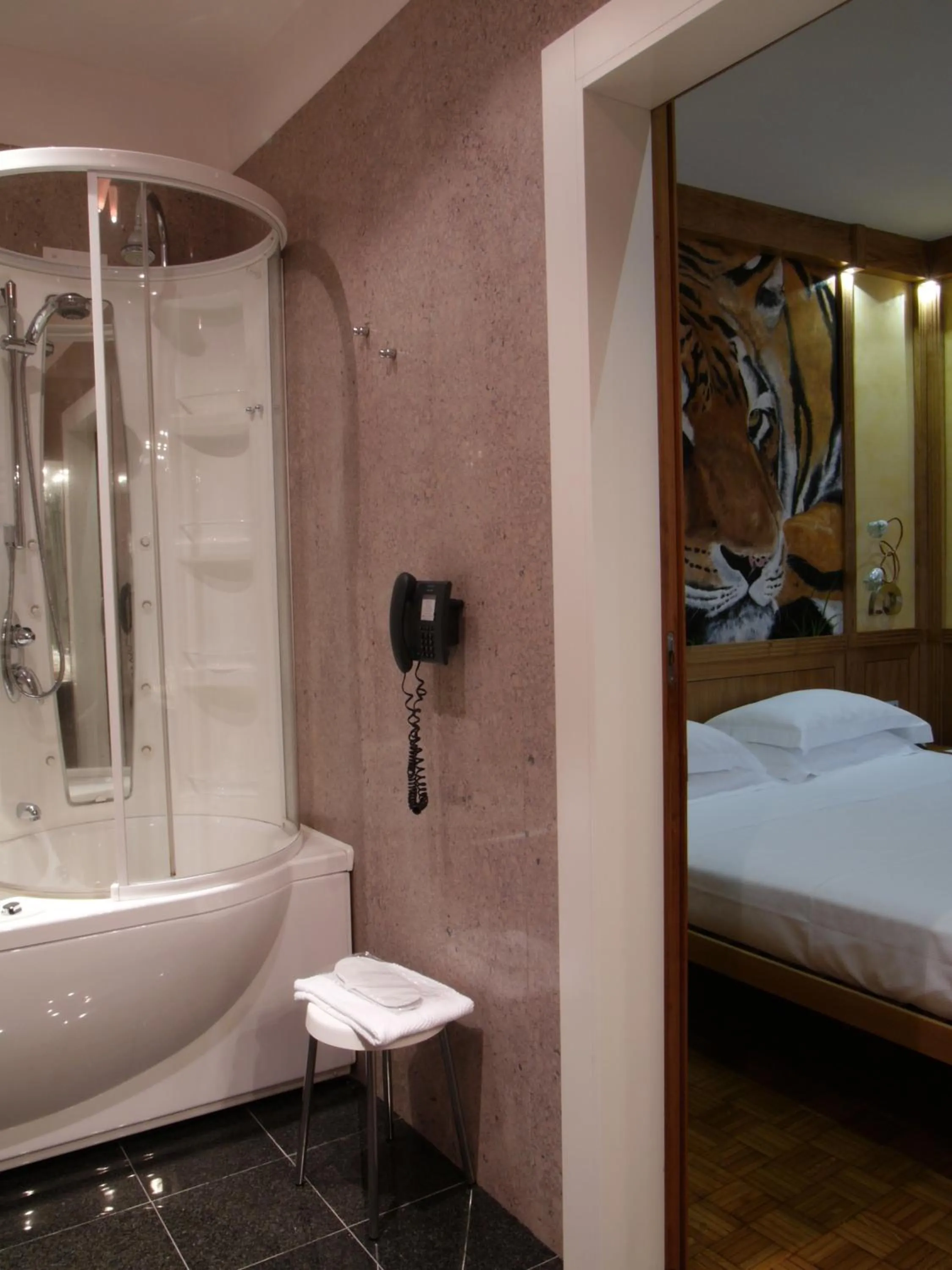 Decorative detail, Bathroom in Hotel Star