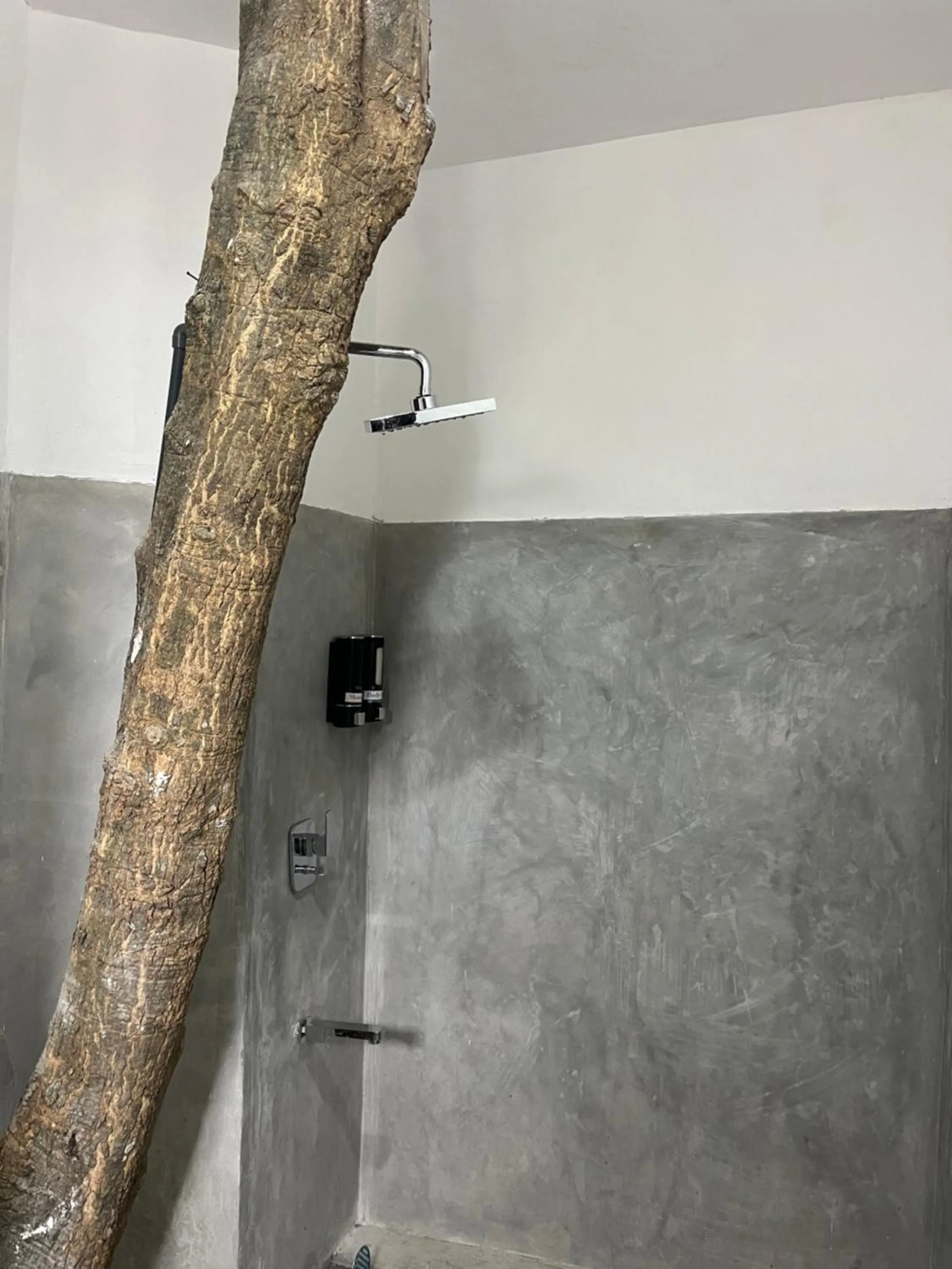 Shower in Tanty’s Hostel