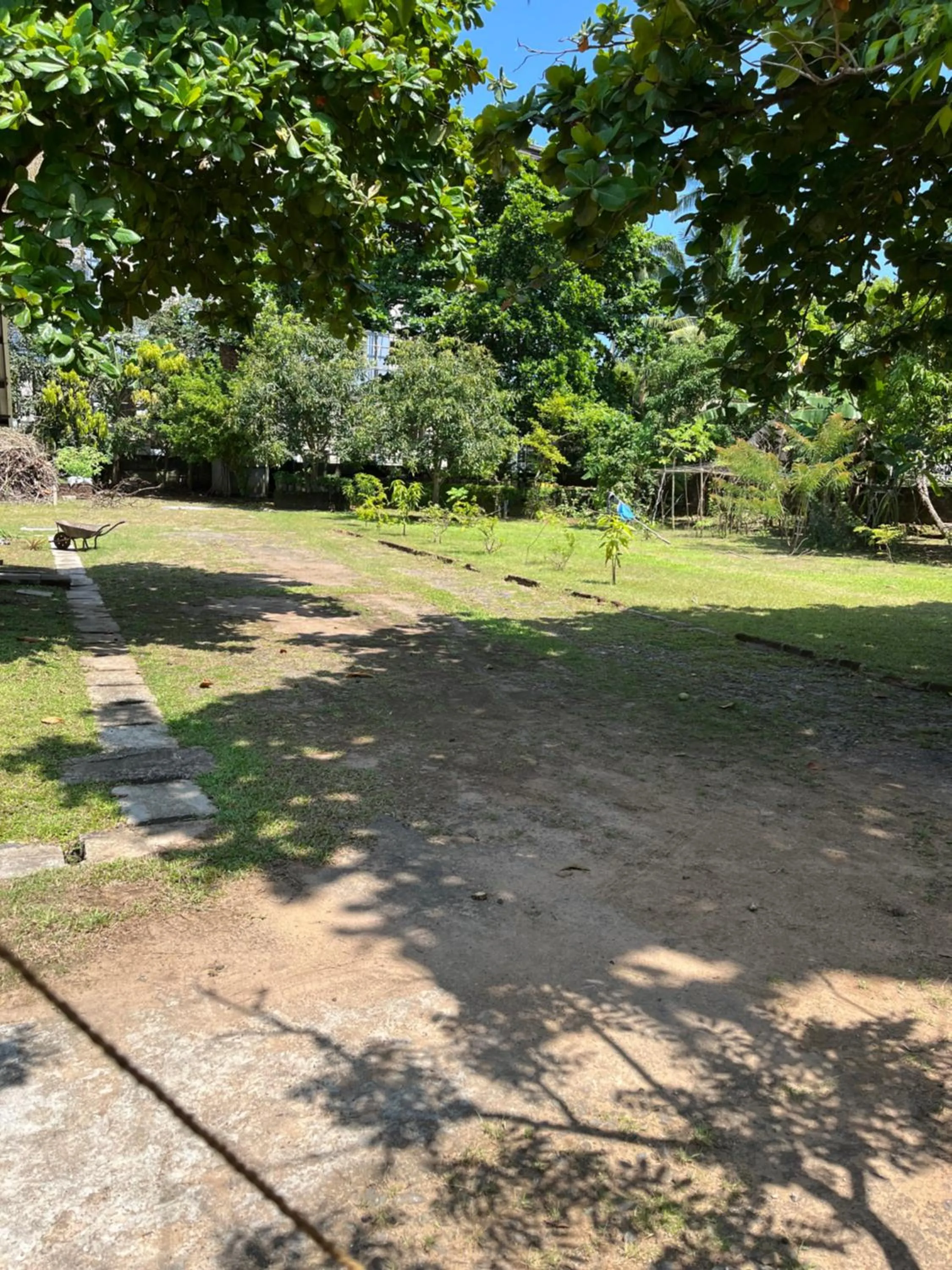 Garden in Tanty’s Hostel