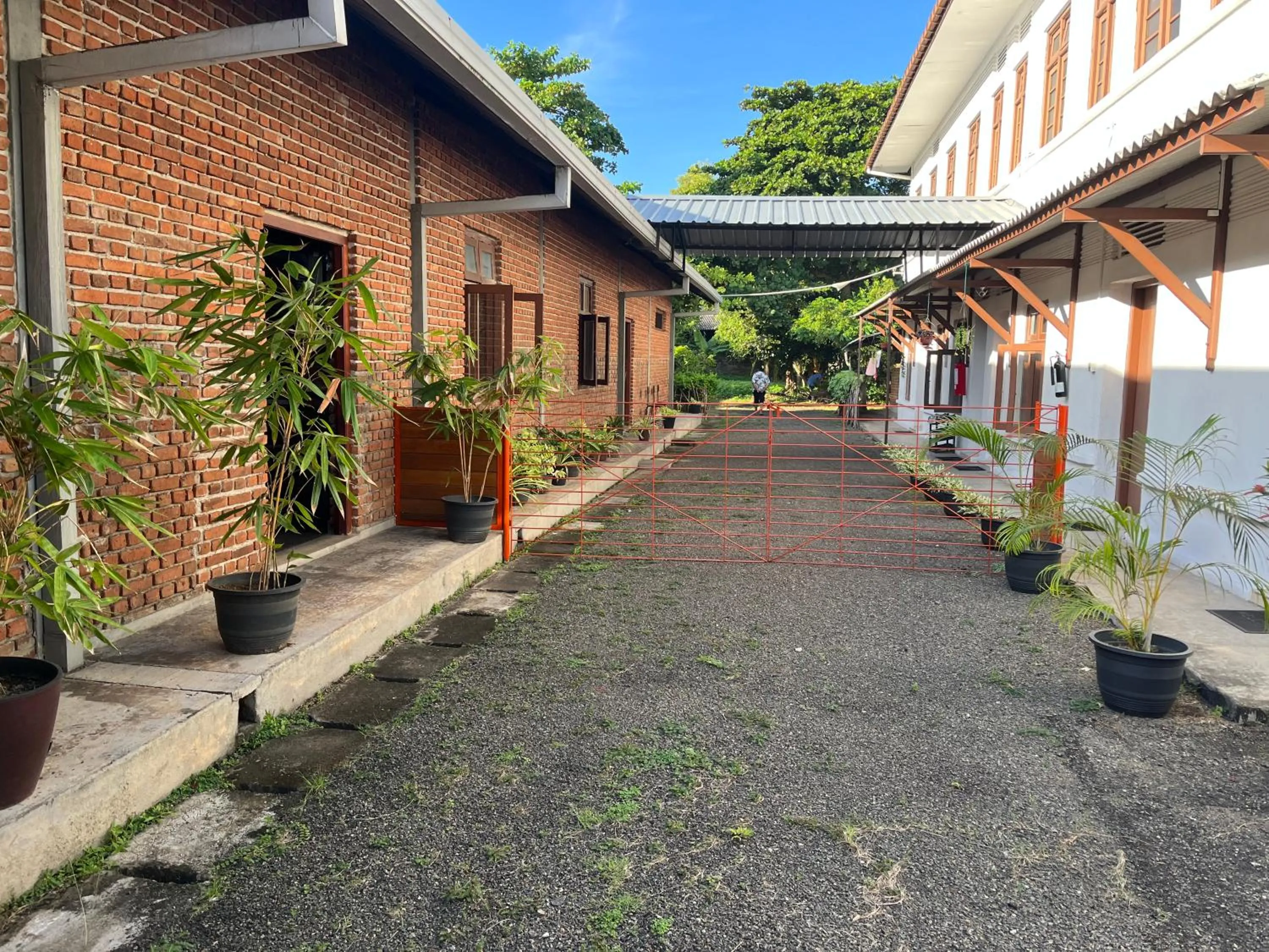 Garden view in Tanty’s Hostel