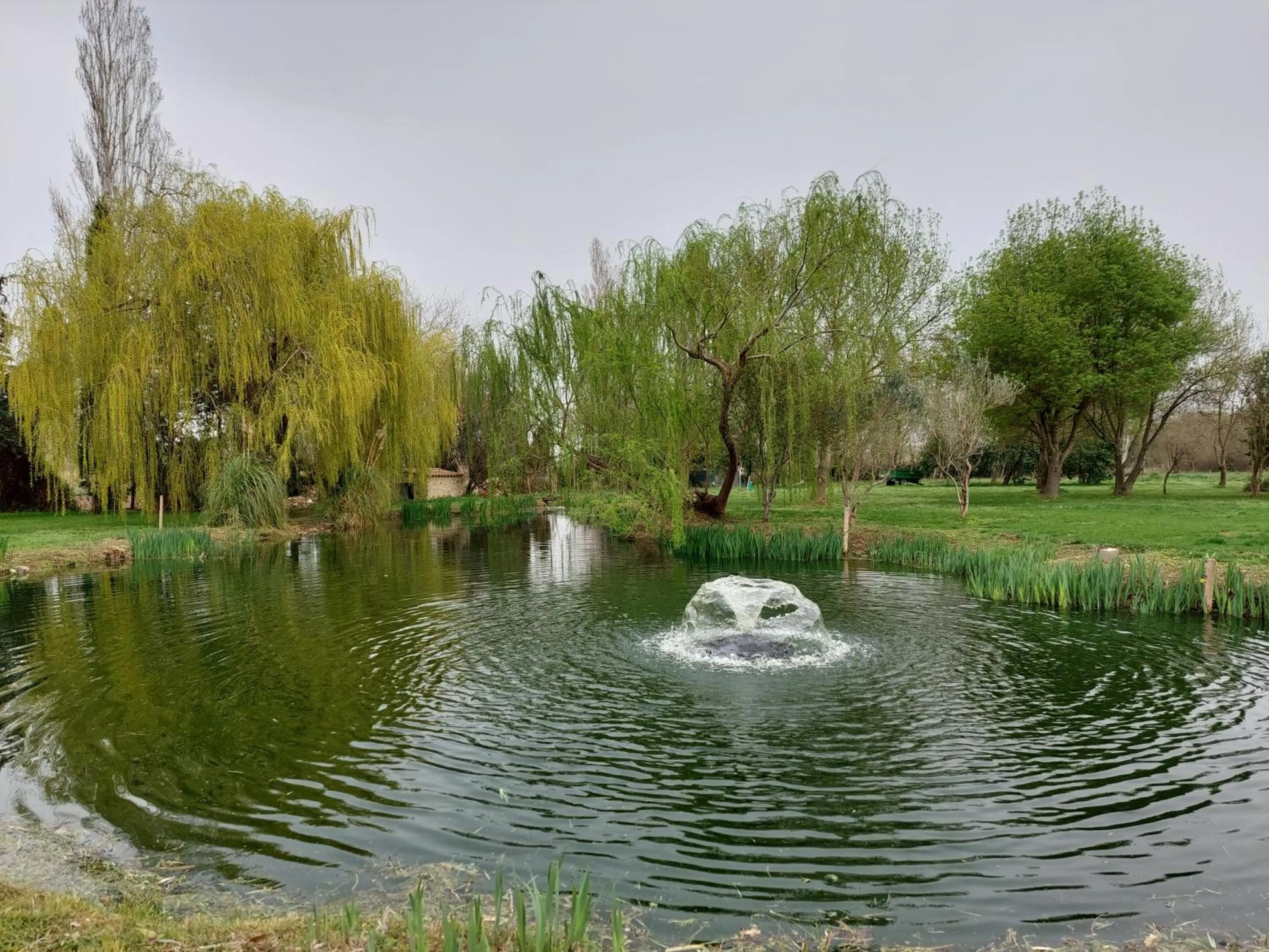 Off site in HOTEL MAS ARET