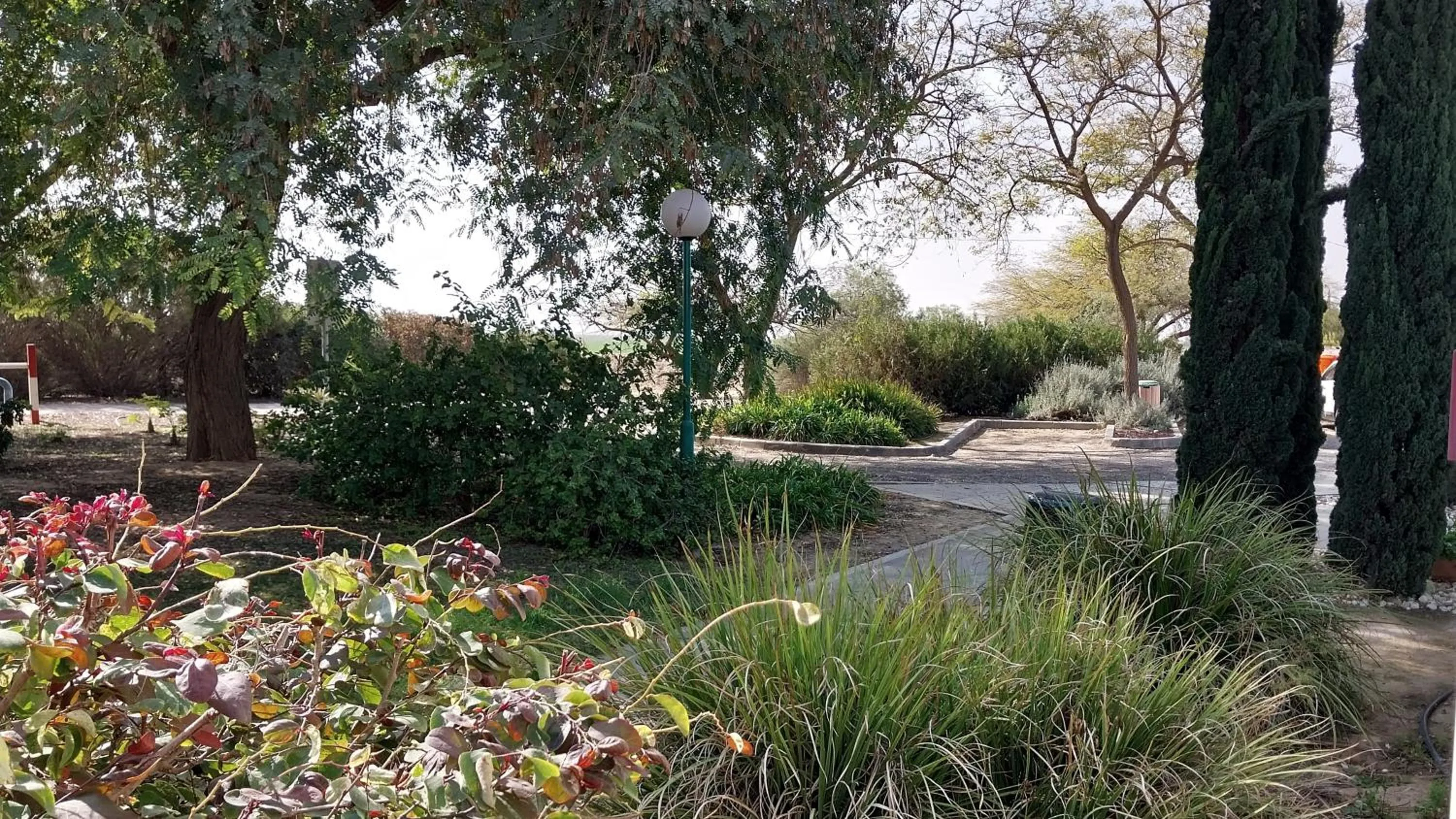 Garden in Mandara - Country Lodging