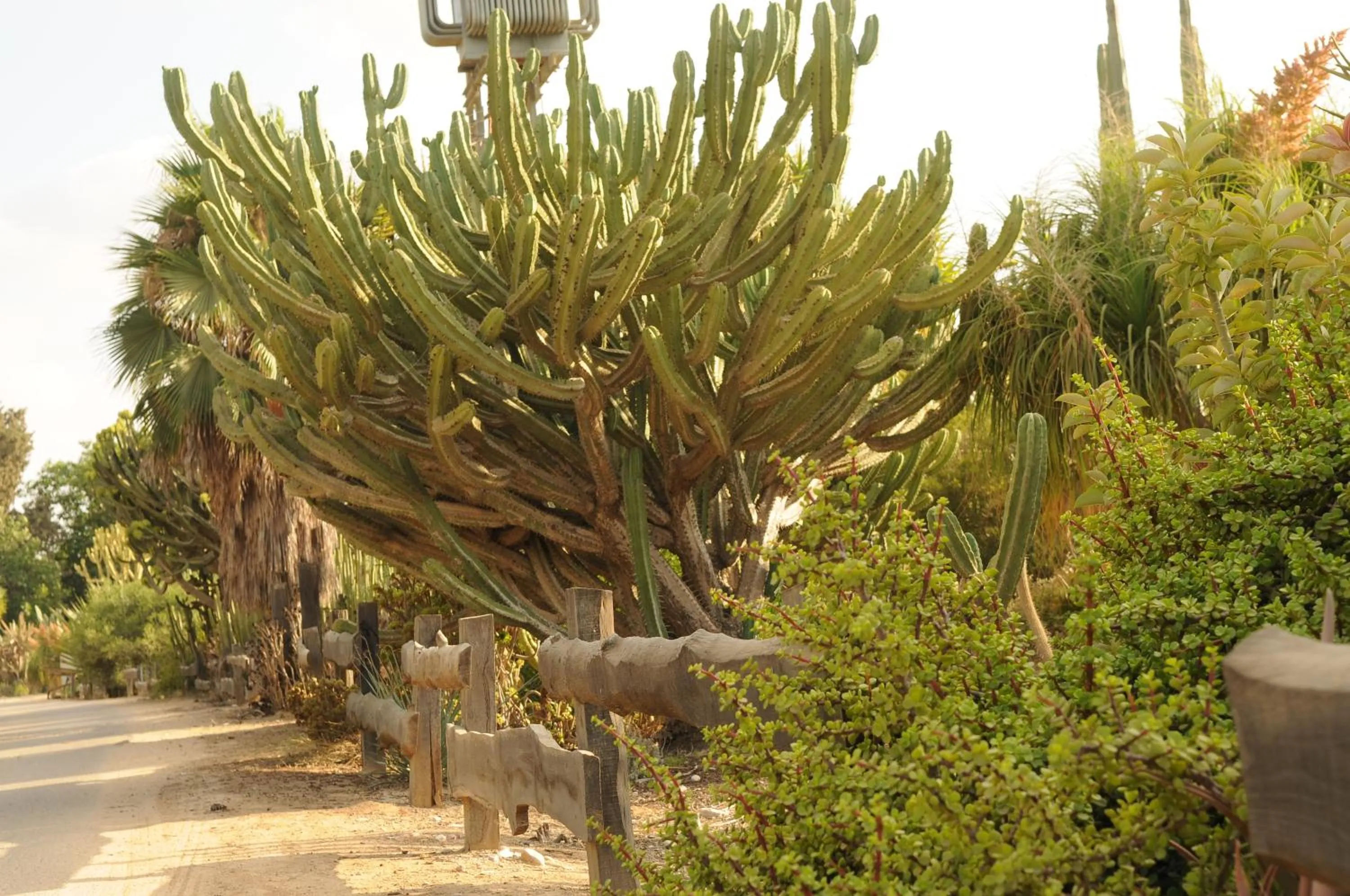 Activities in Mandara - Country Lodging