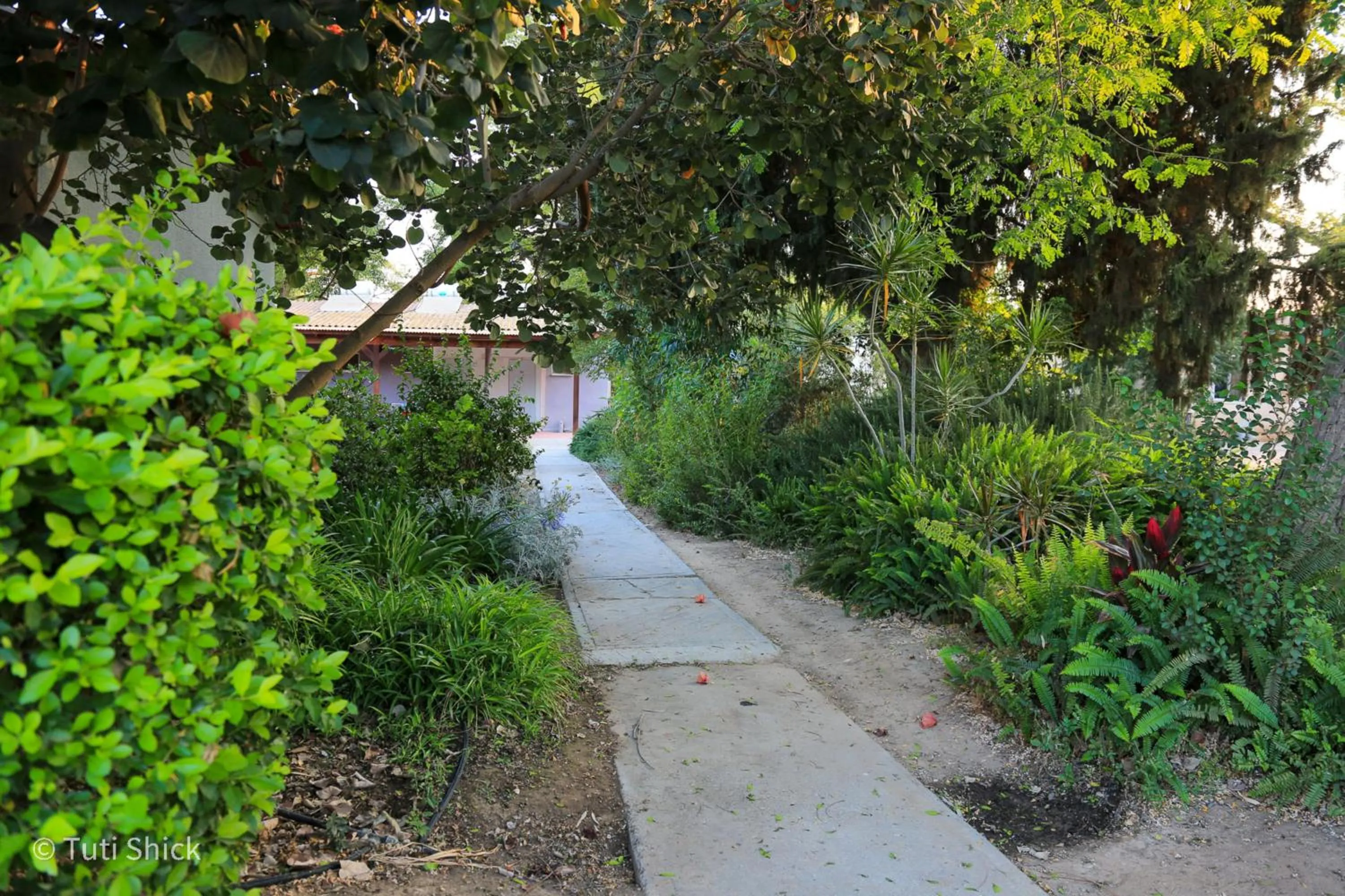 Garden in Mandara - Country Lodging