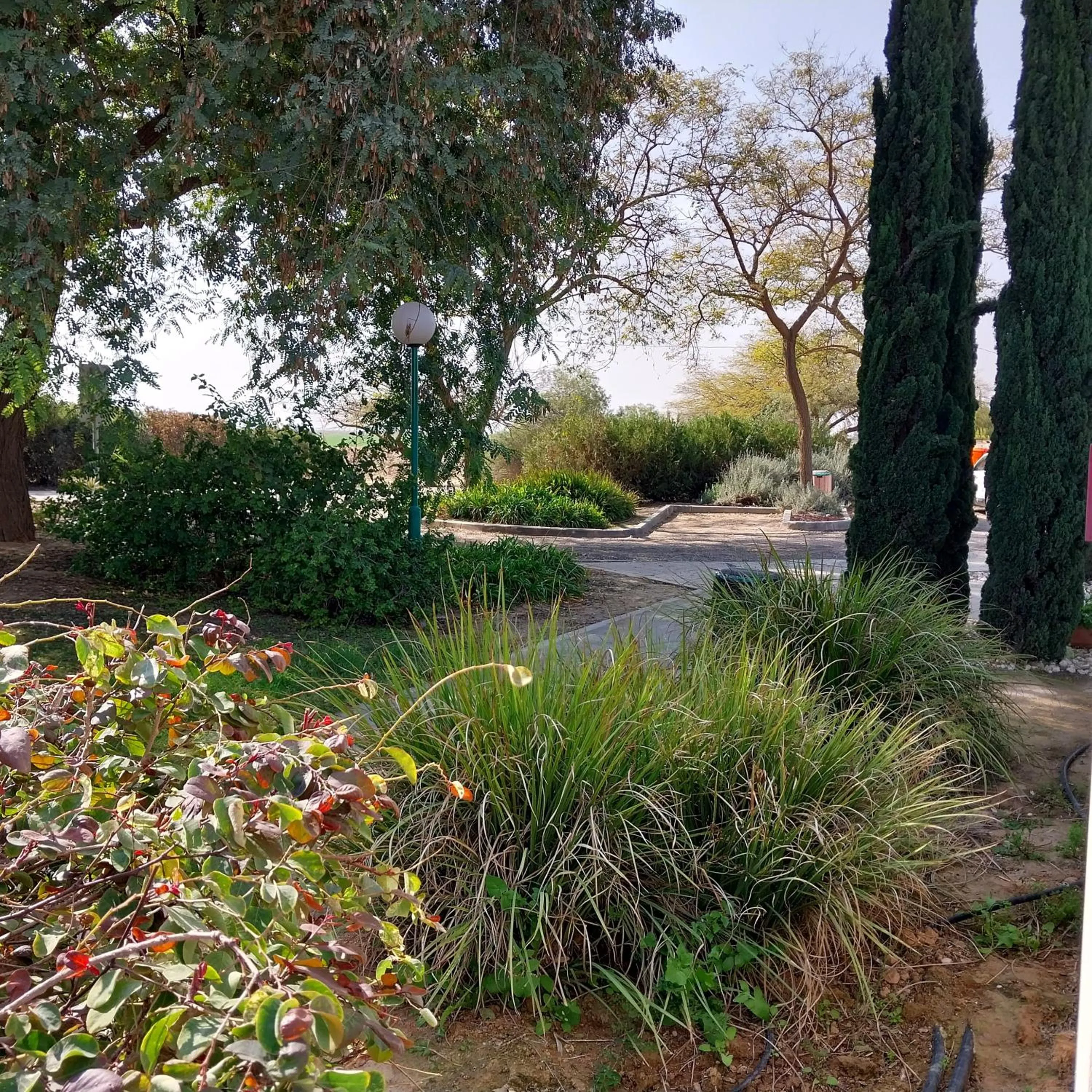 Garden in Mandara - Country Lodging