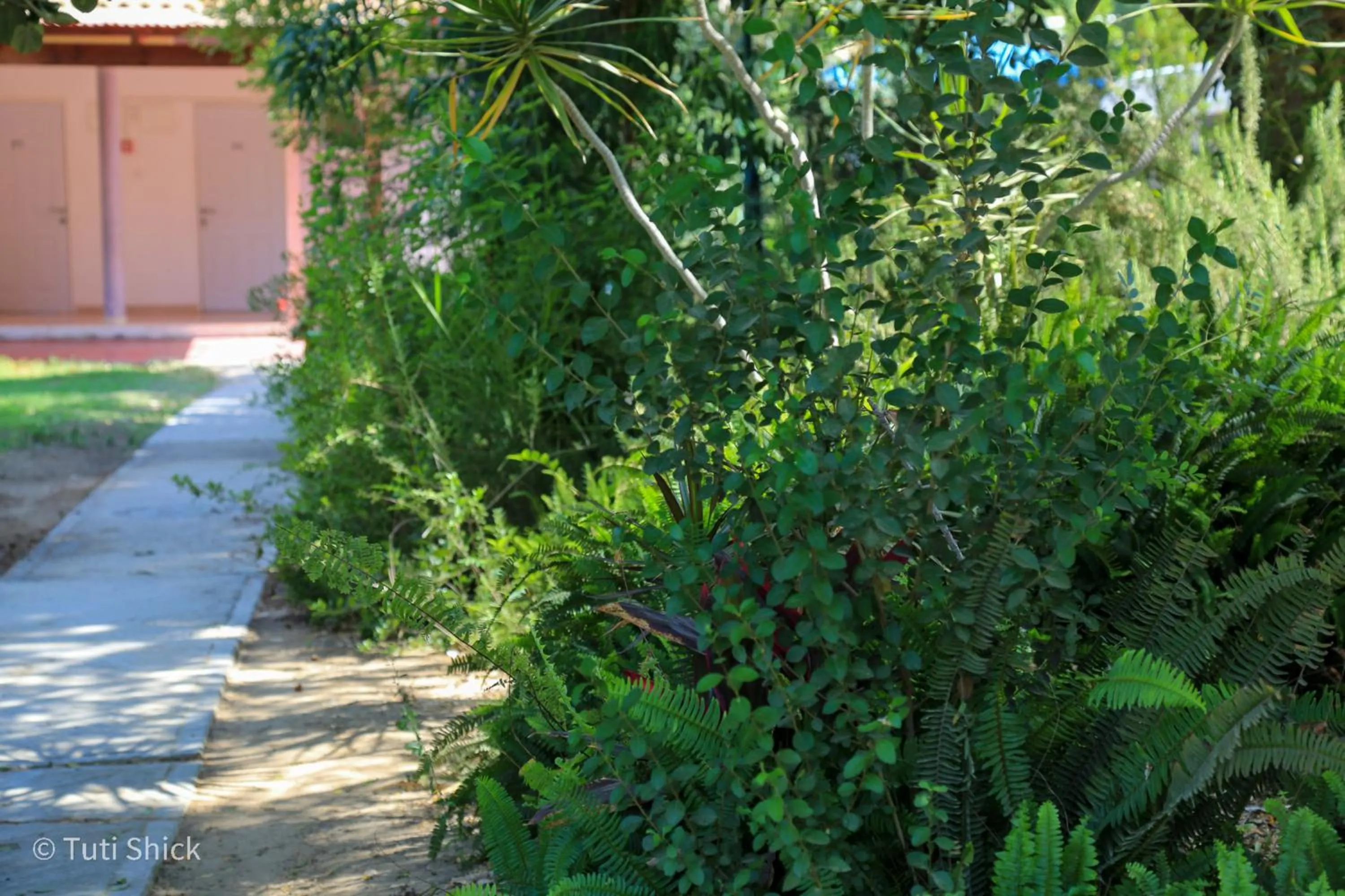 Garden in Mandara - Country Lodging