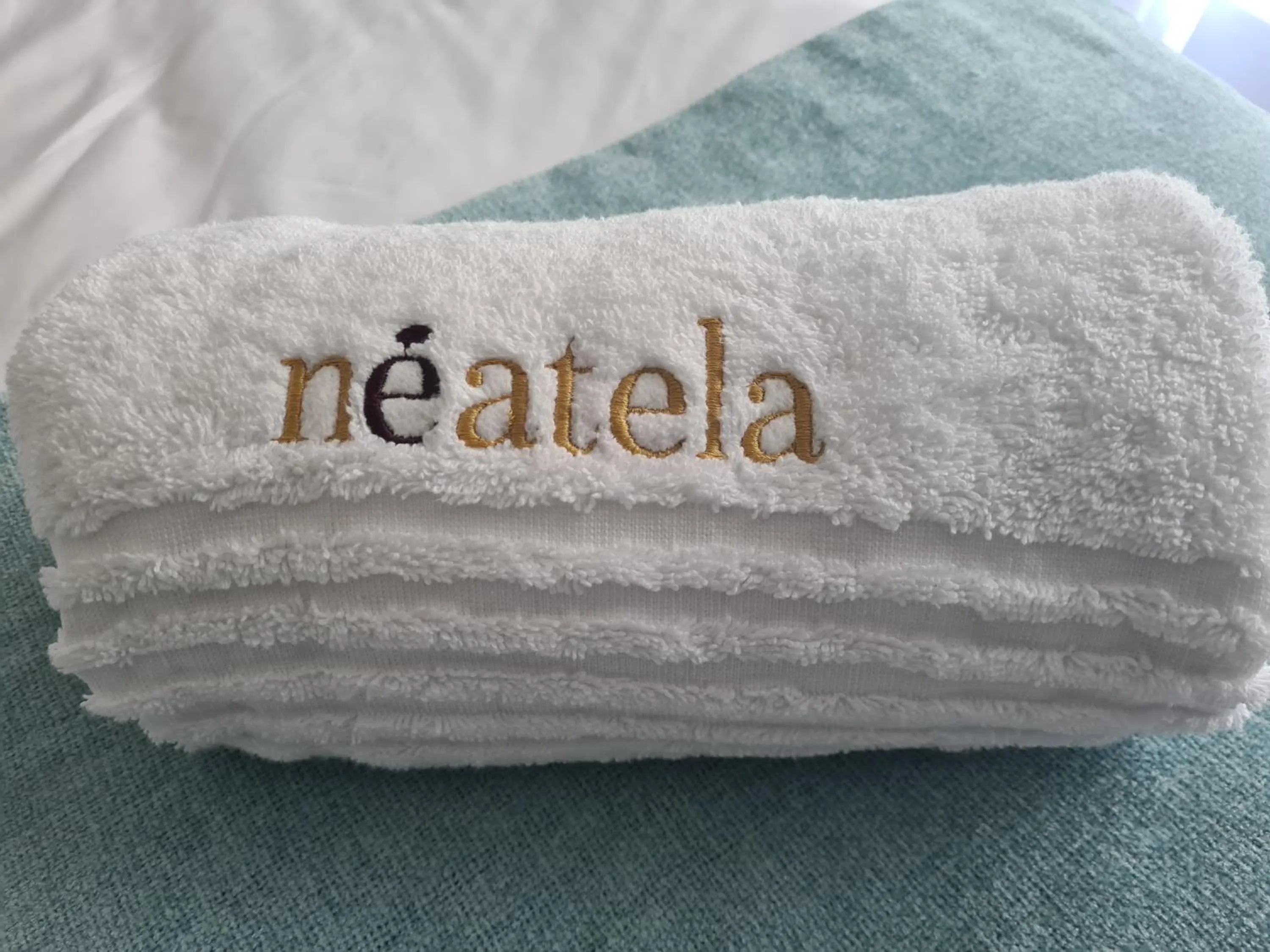 towels in Modern Executive Condo