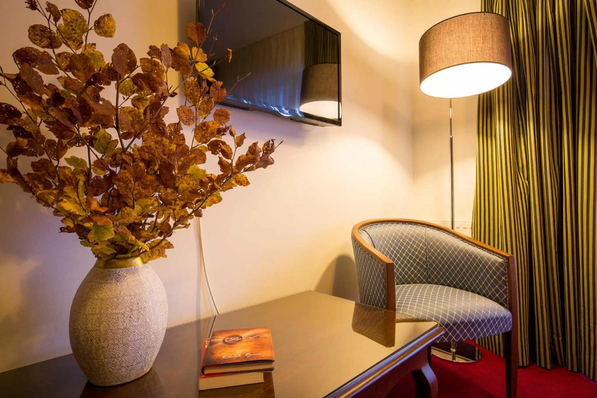 TV and multimedia in Hotel Boutique Belvedere