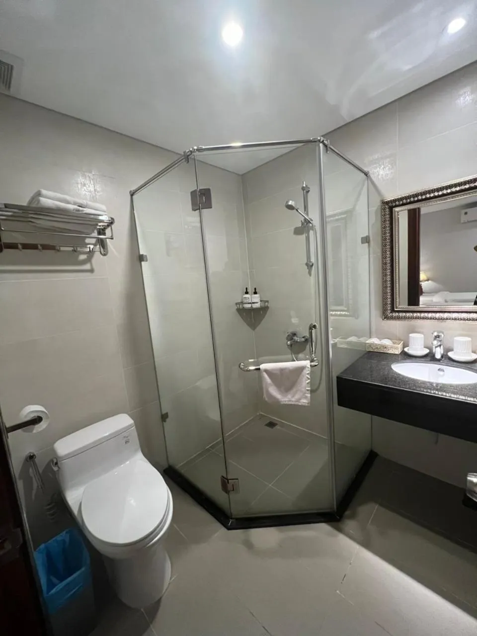 Toilet in Galaxy Airport Hotel