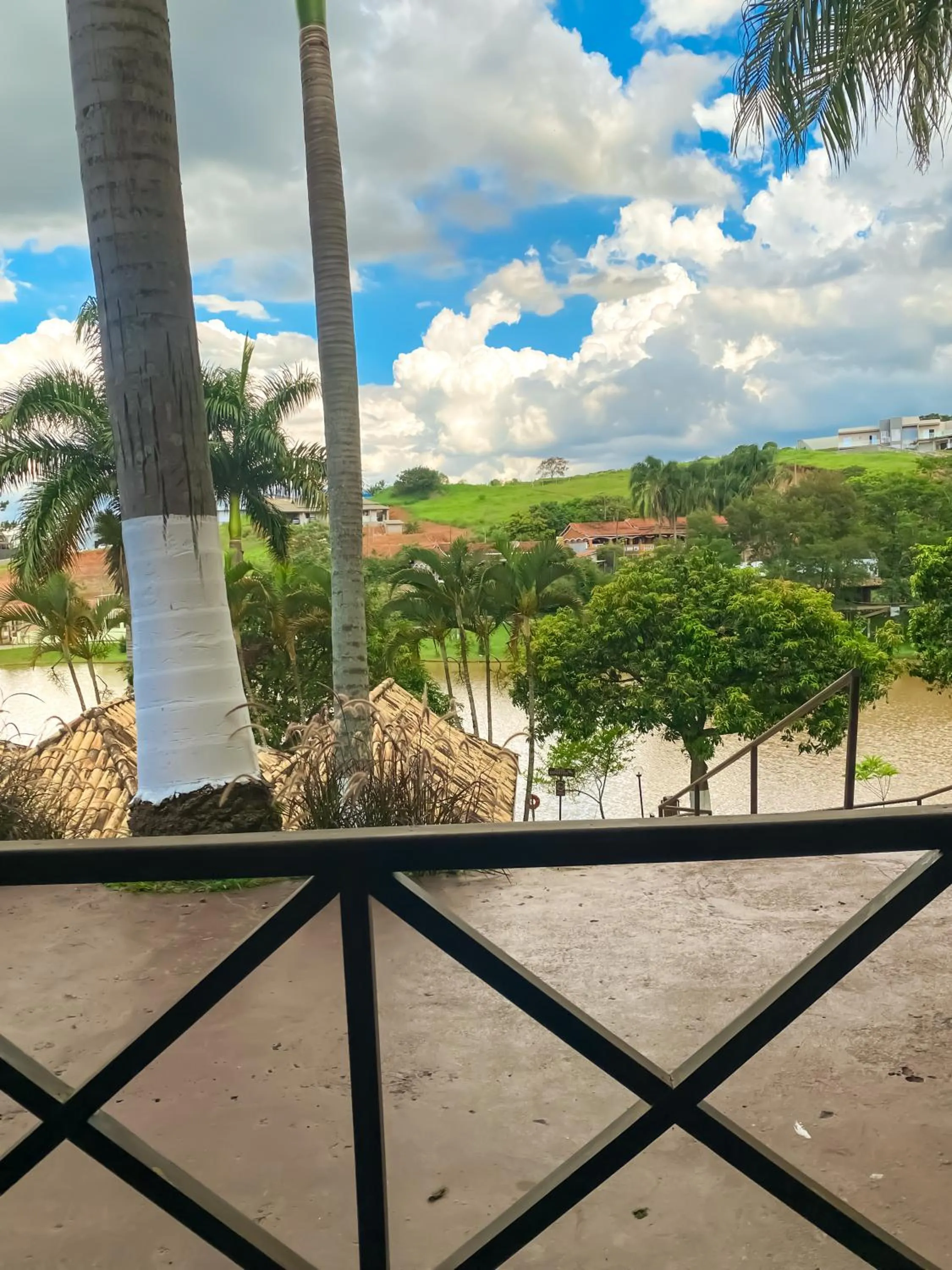 Natural landscape in Park Hotel Modelo