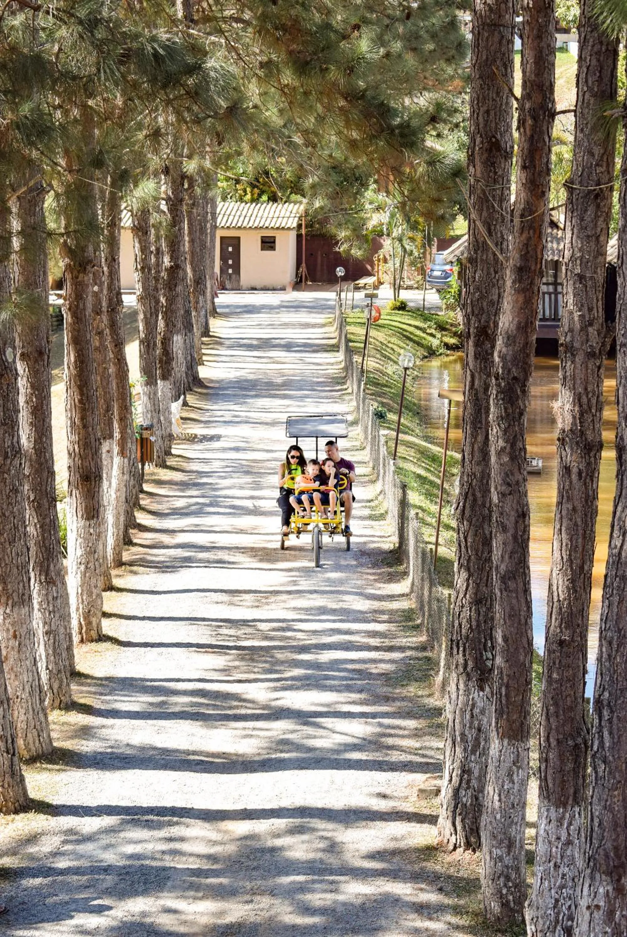 Natural landscape in Park Hotel Modelo