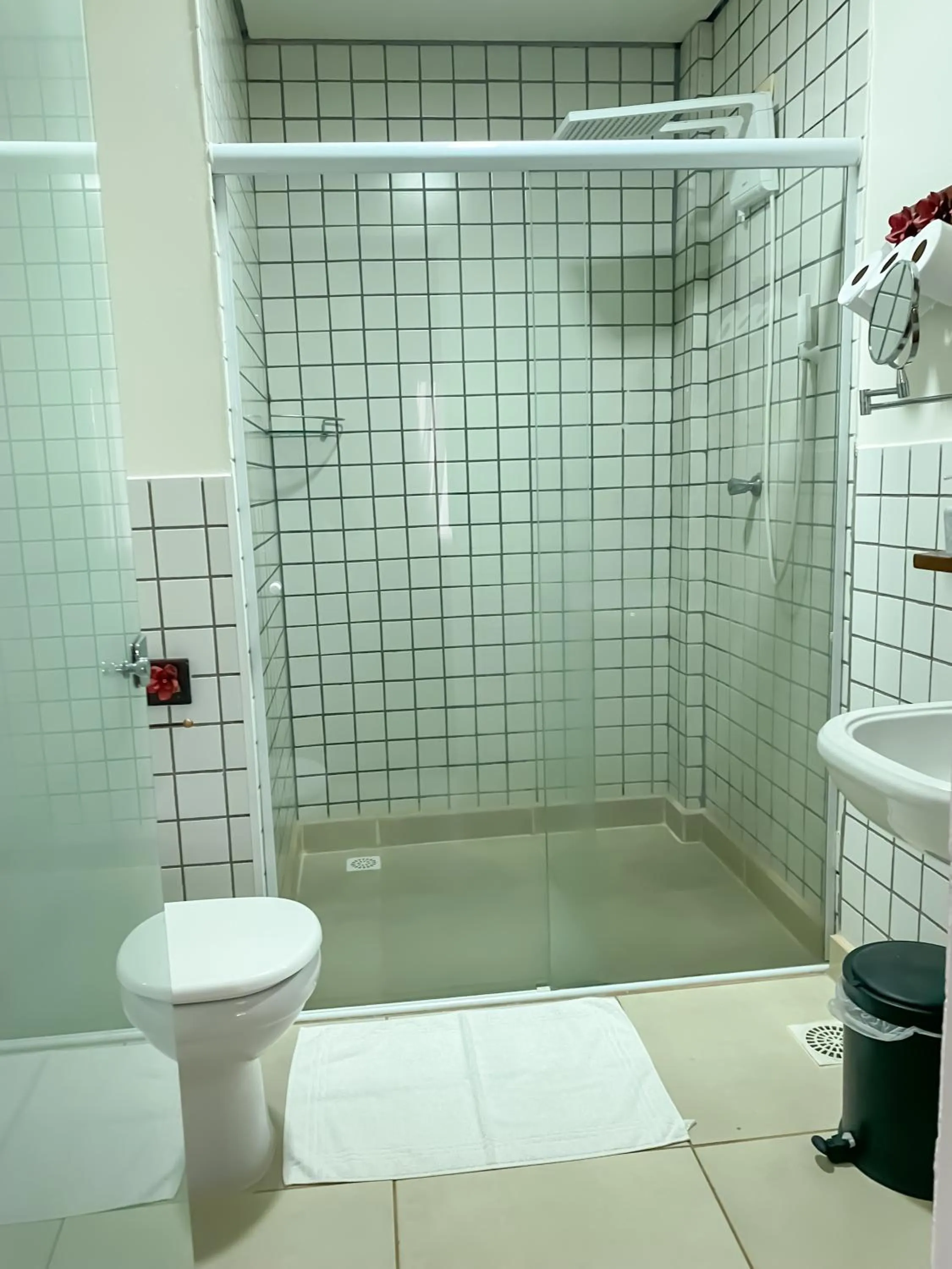 Toilet in Park Hotel Modelo