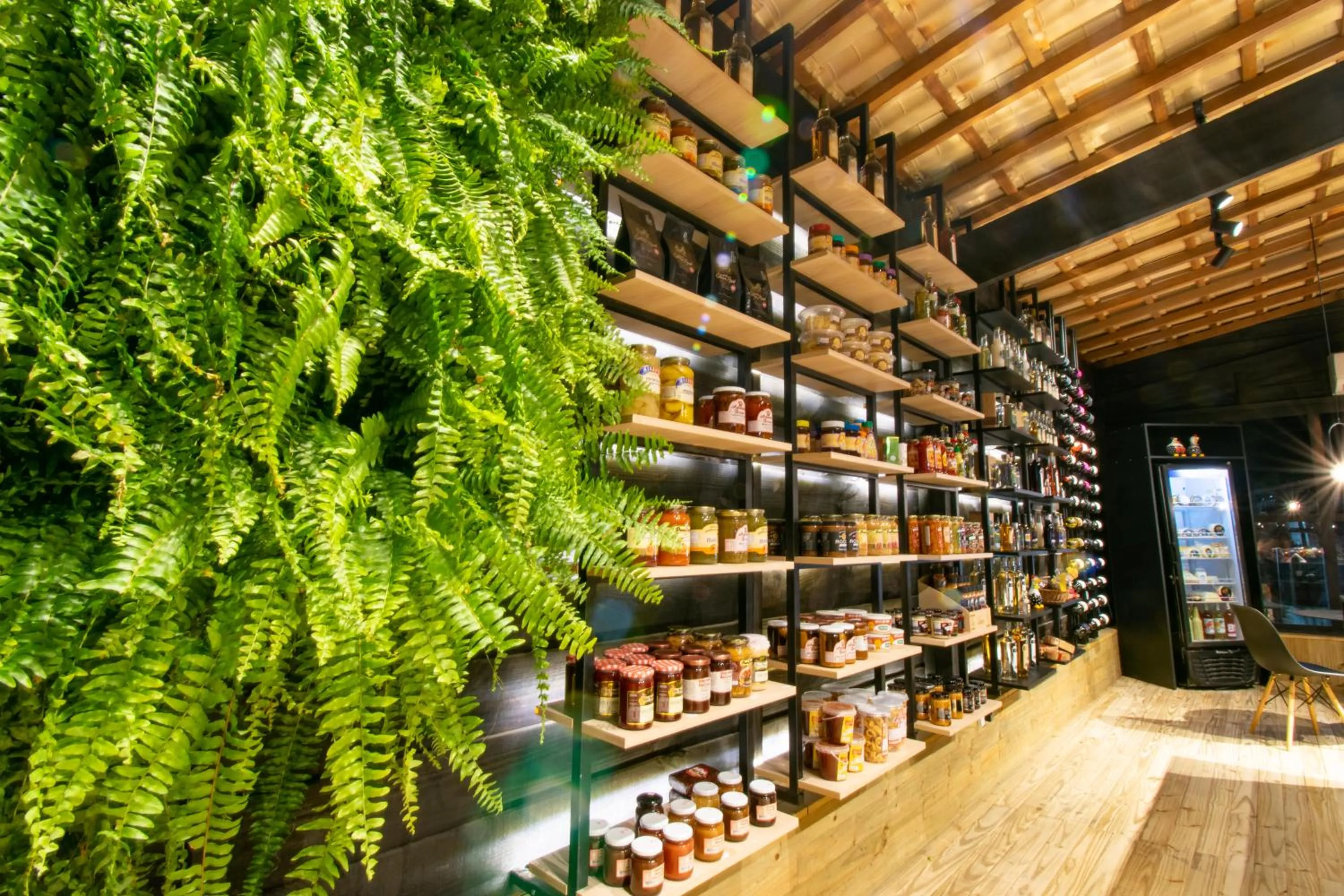 Food and drinks in Park Hotel Modelo