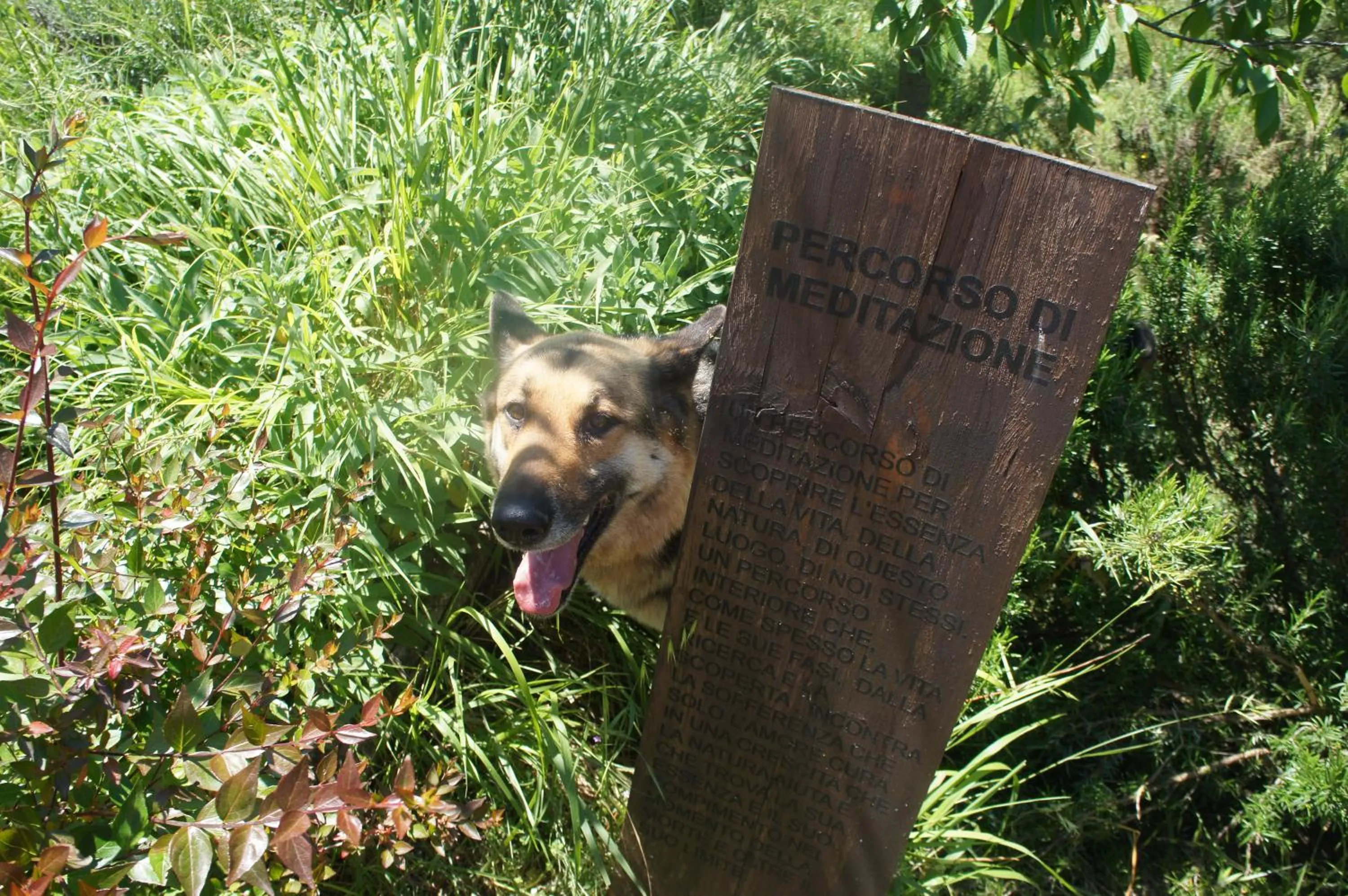 Area and facilities in EcoResort Il Cantico della Natura