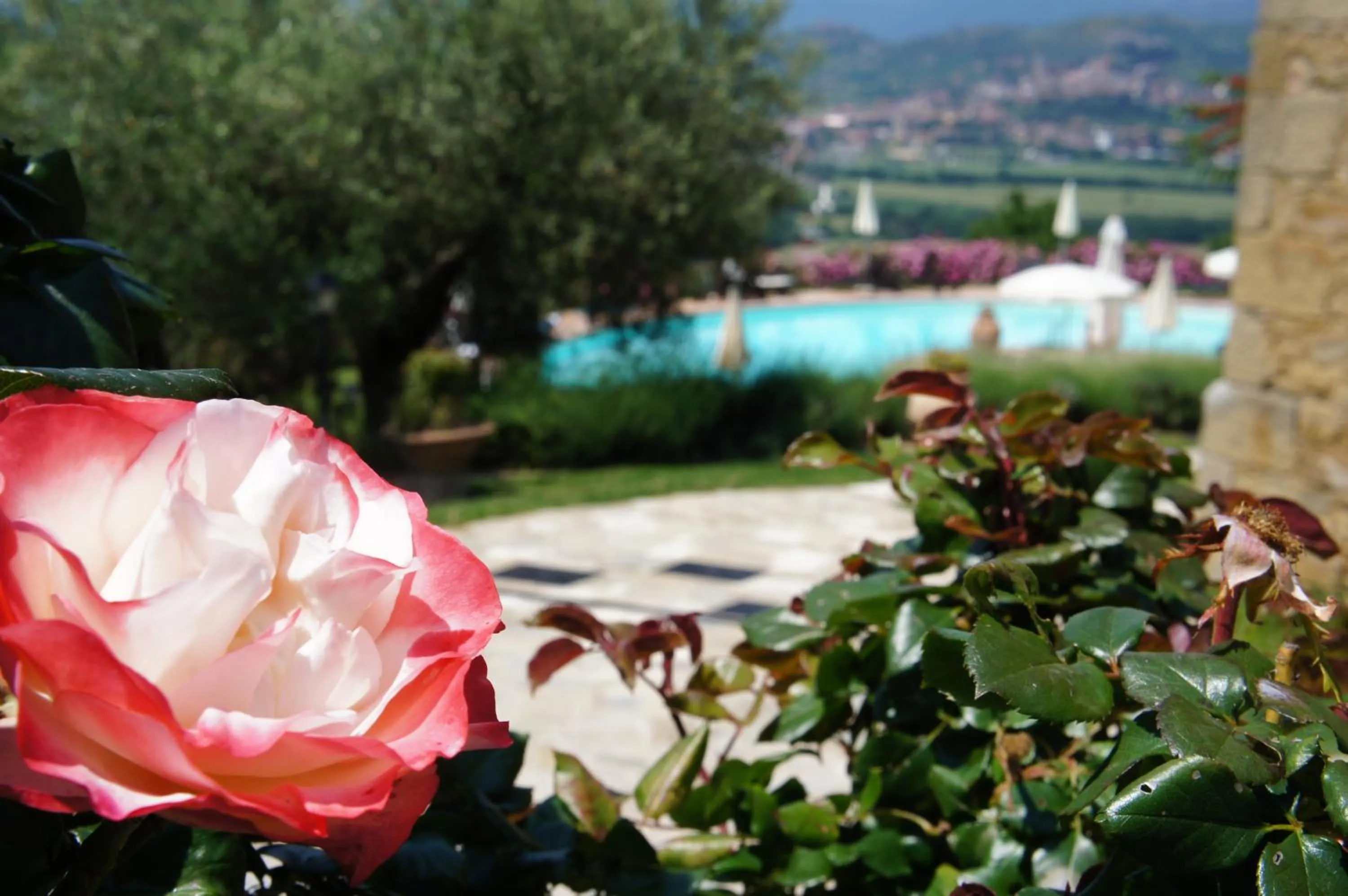 Garden in EcoResort Il Cantico della Natura