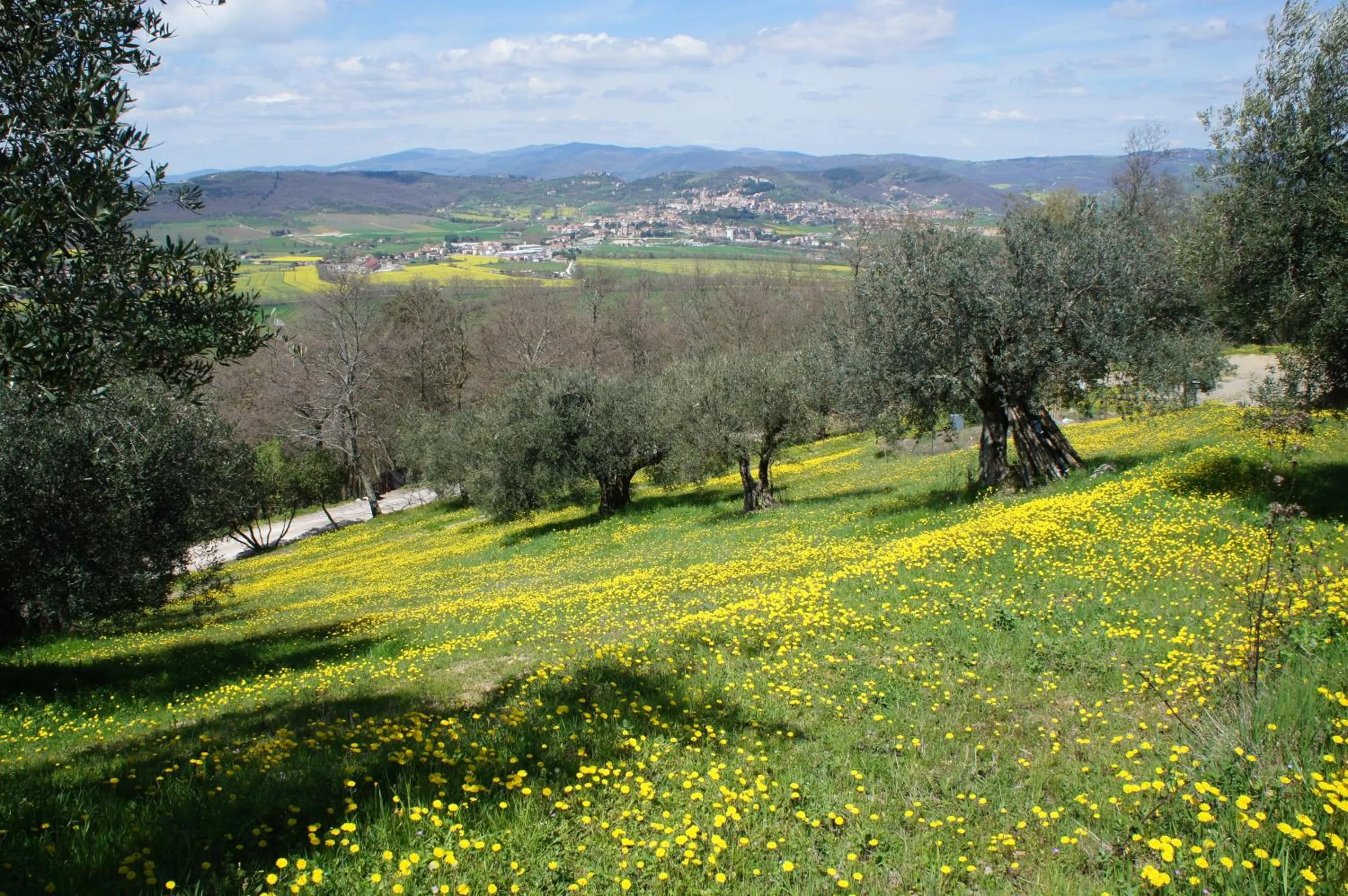Natural landscape in EcoResort Il Cantico della Natura