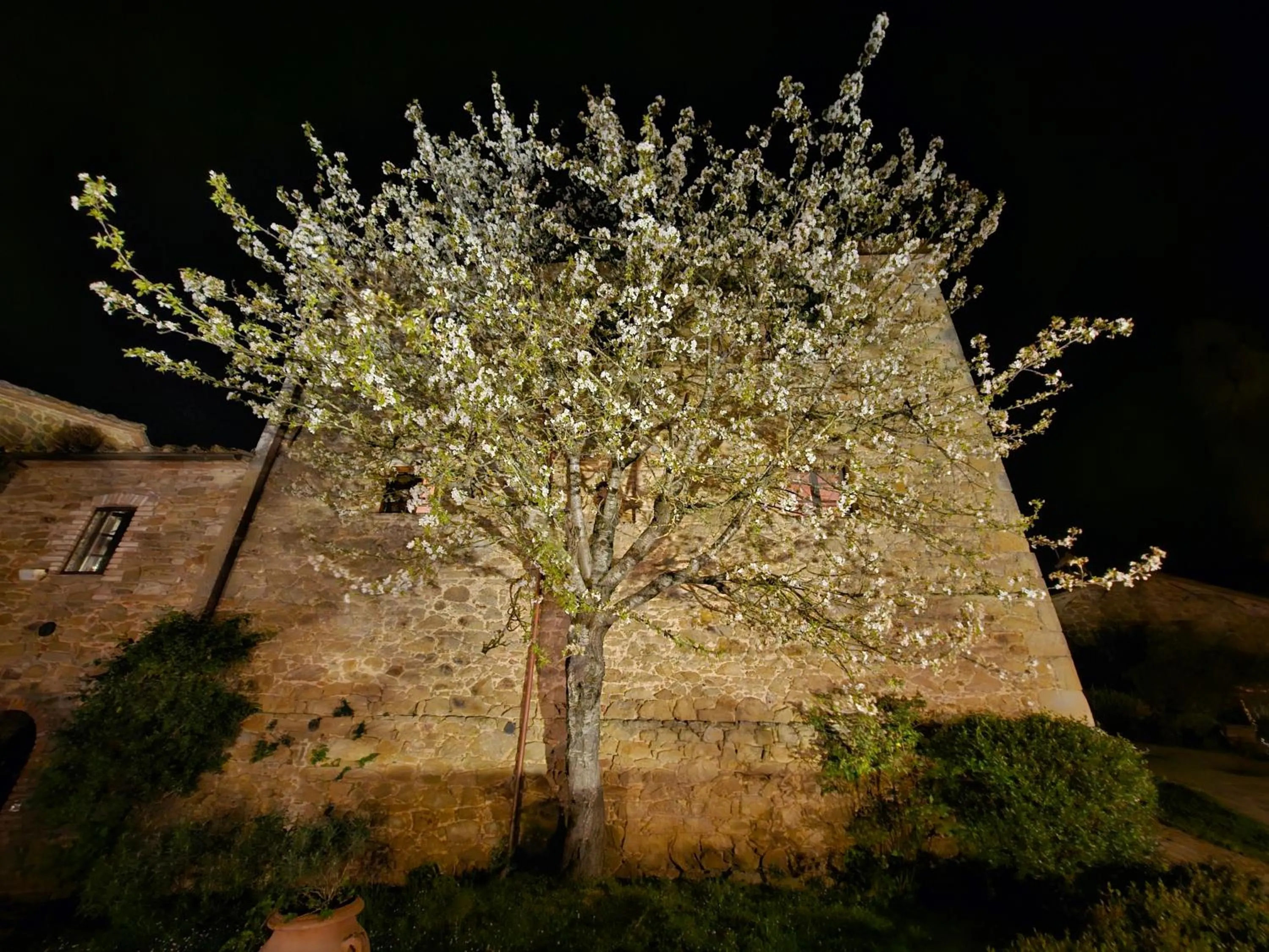 Garden in EcoResort Il Cantico della Natura