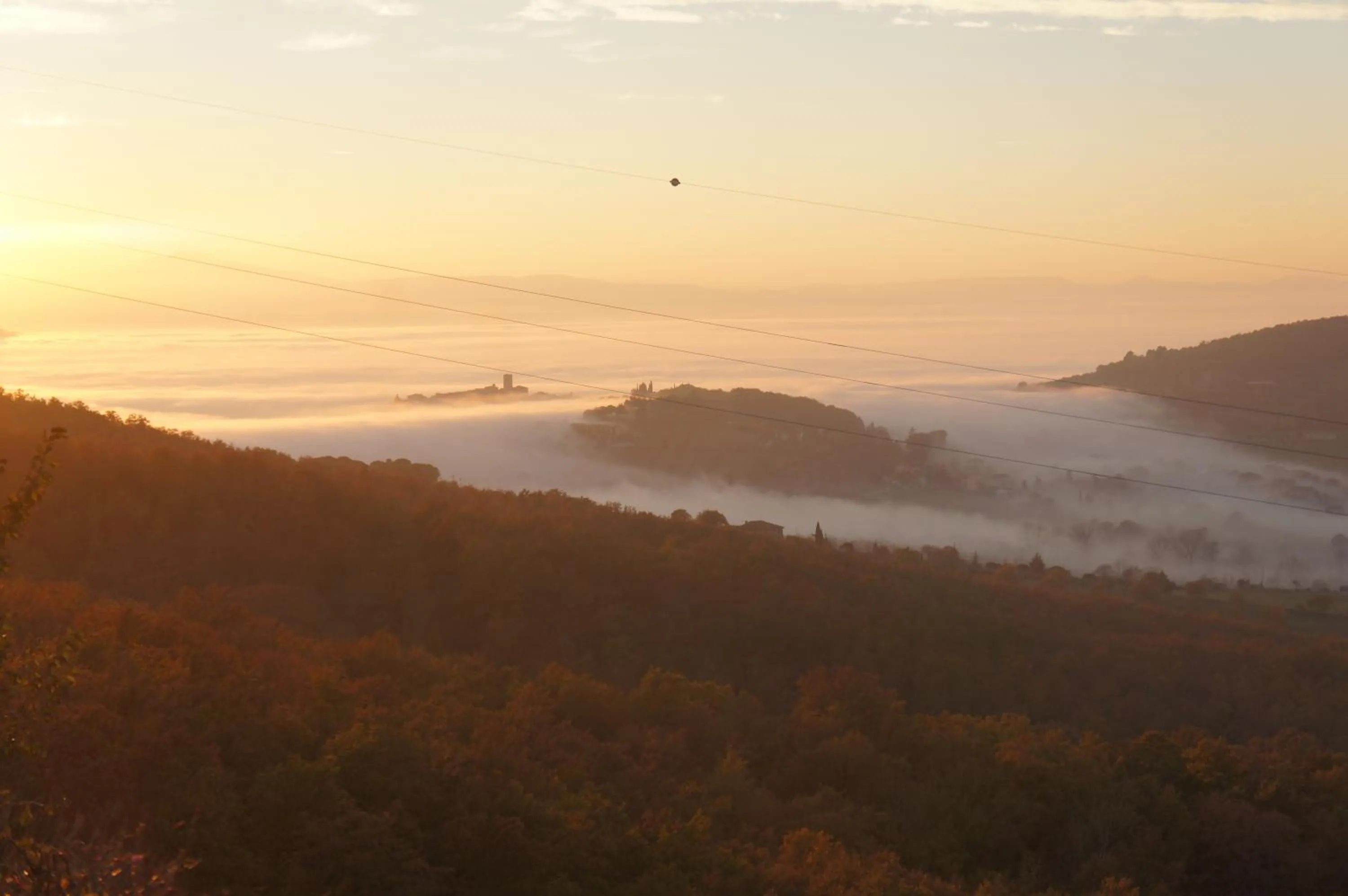 Natural landscape in EcoResort Il Cantico della Natura