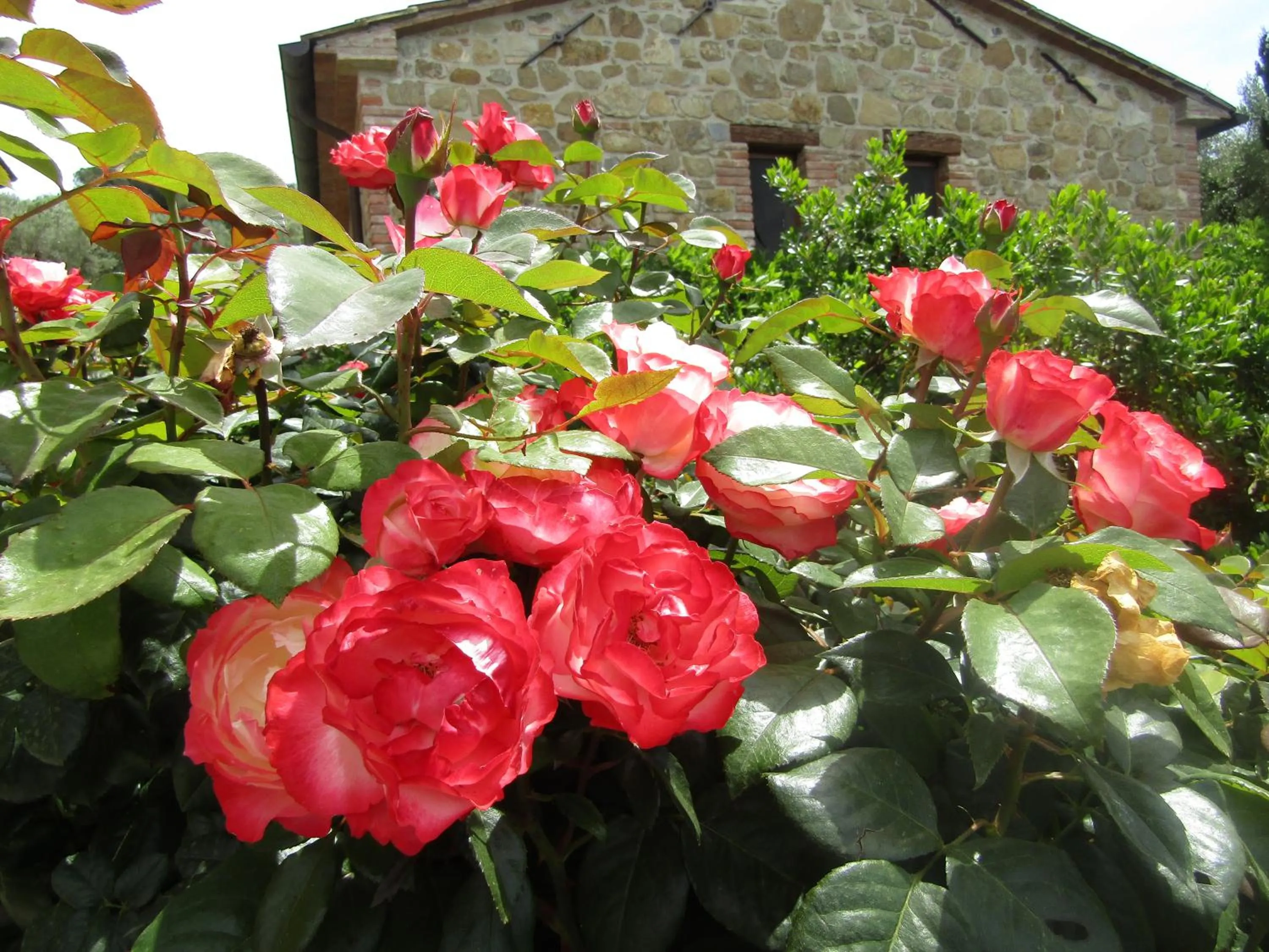 Garden in EcoResort Il Cantico della Natura