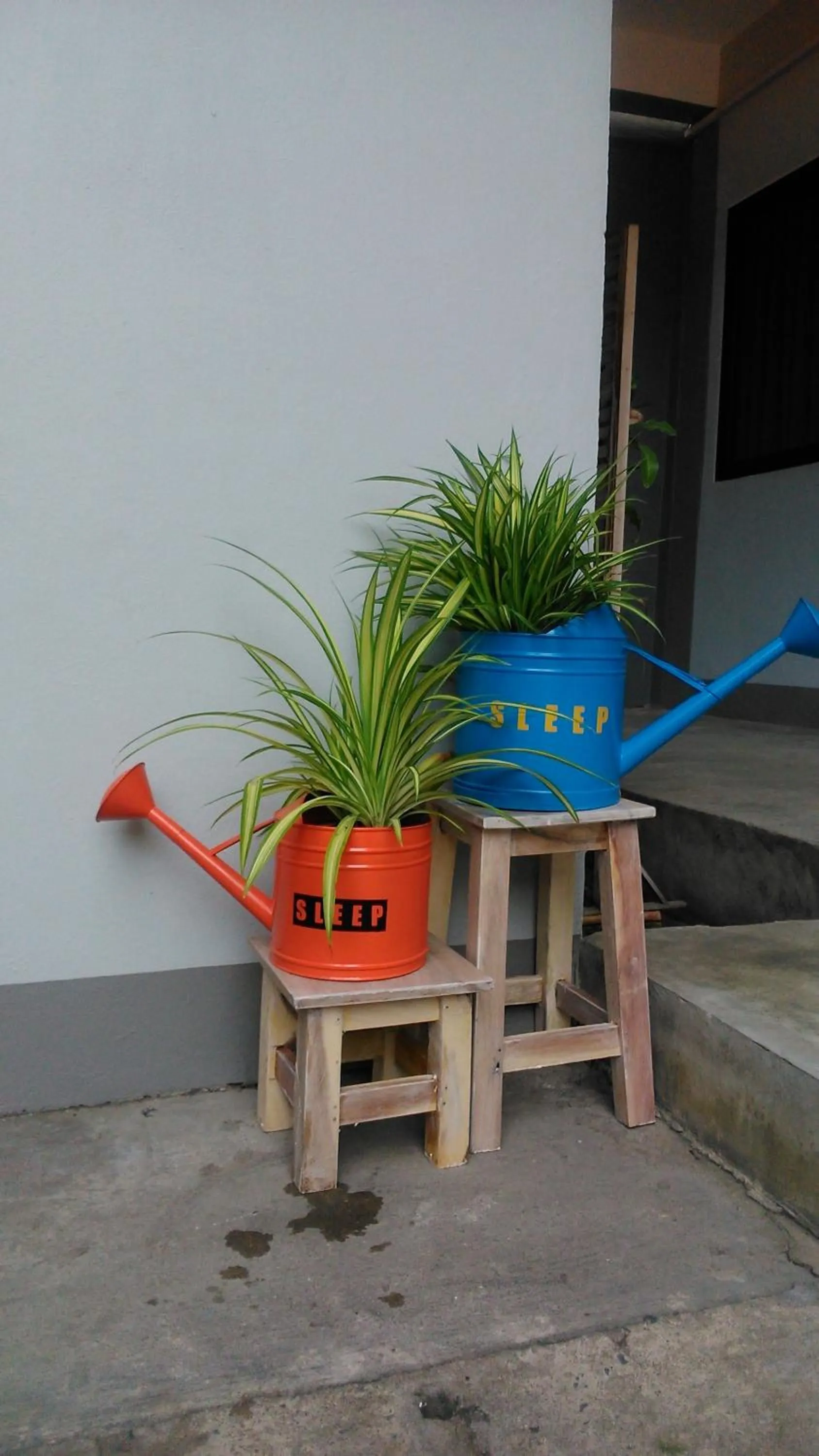 Day in Sleep Guesthouse