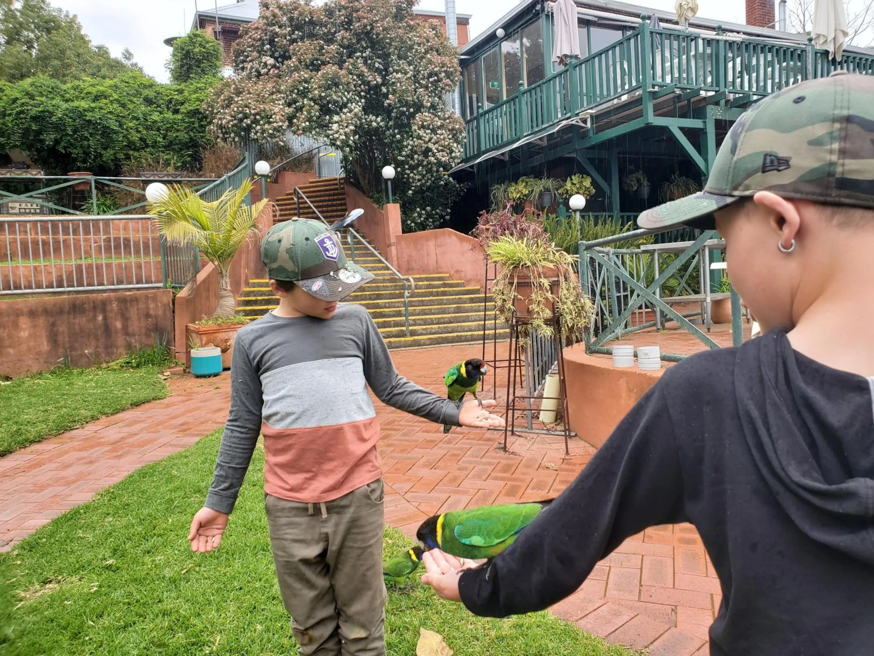 Garden in Mundaring Weir Hotel