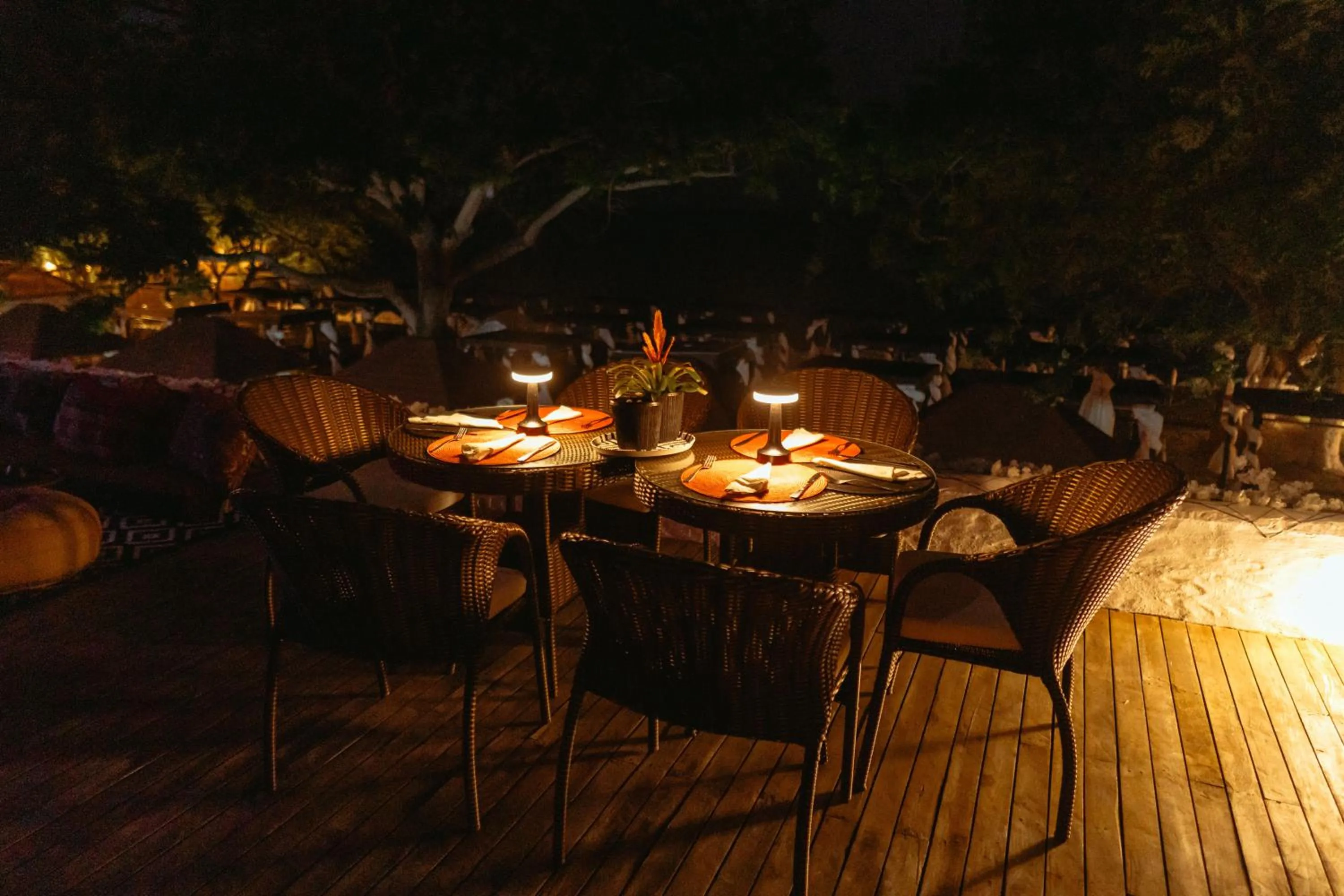 Night in Bora Bora Cartagena