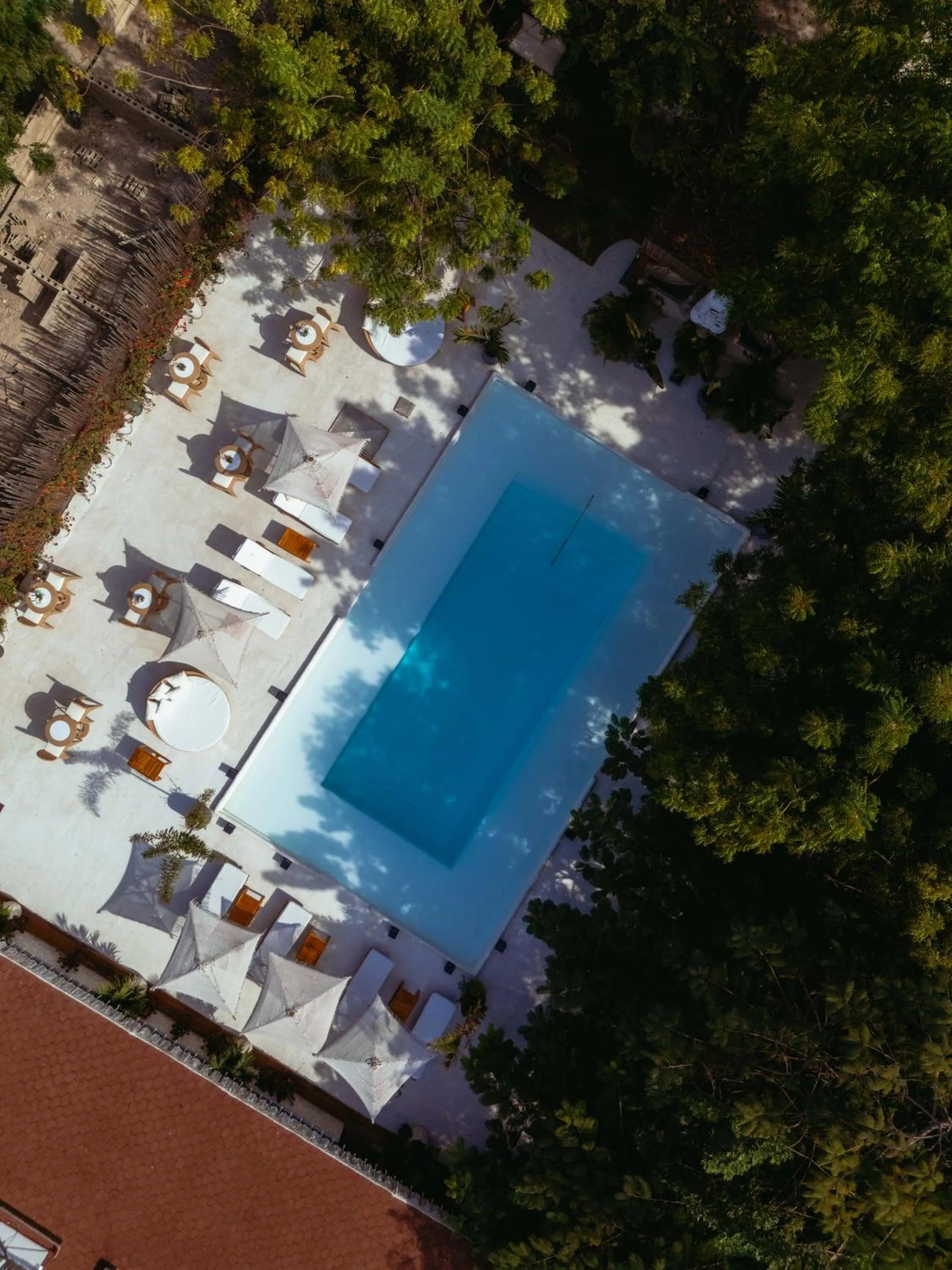 Pool view in Bora Bora Cartagena