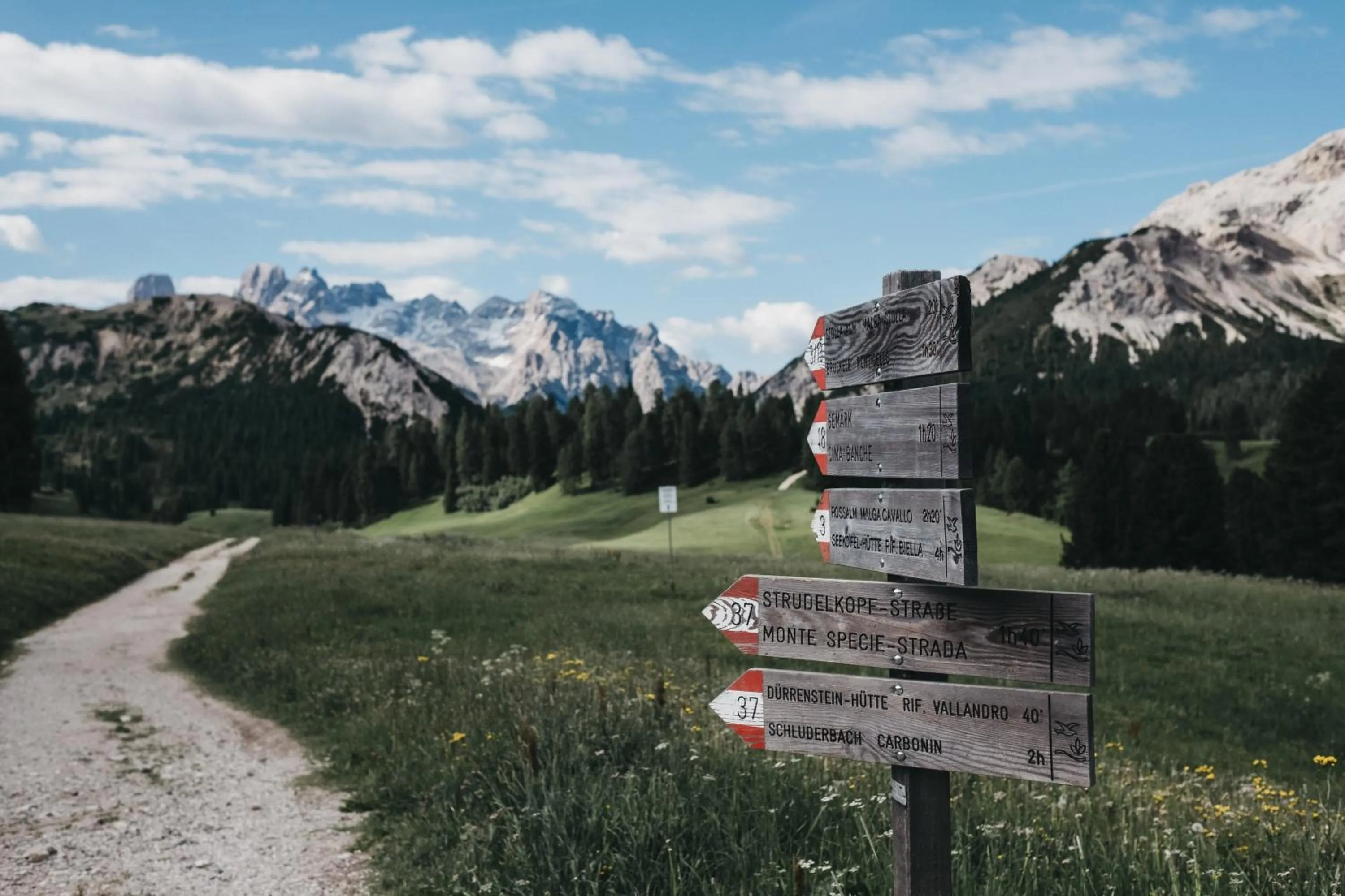 Natural landscape in Hotel Rudolf