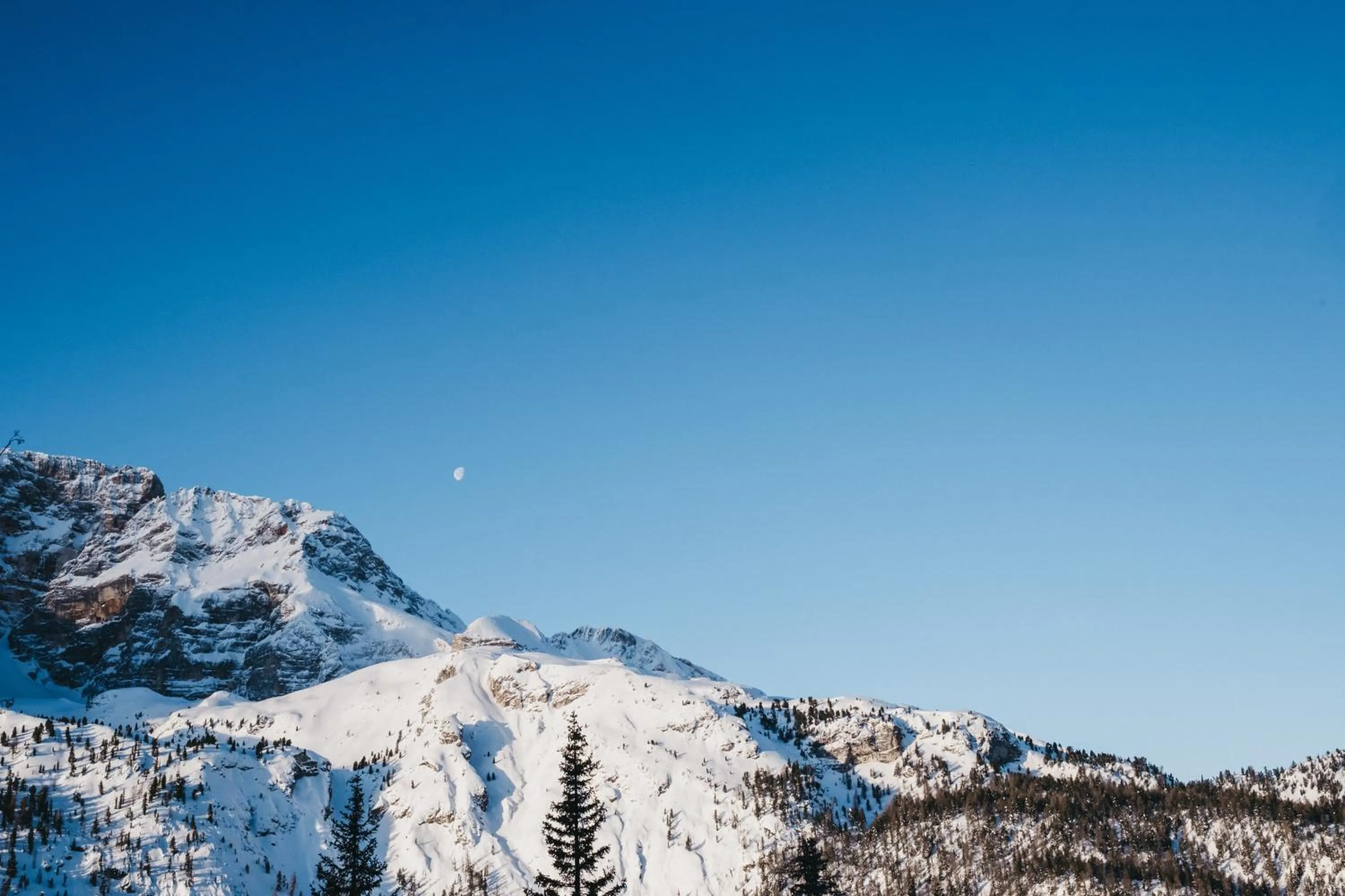 Natural landscape in Hotel Rudolf