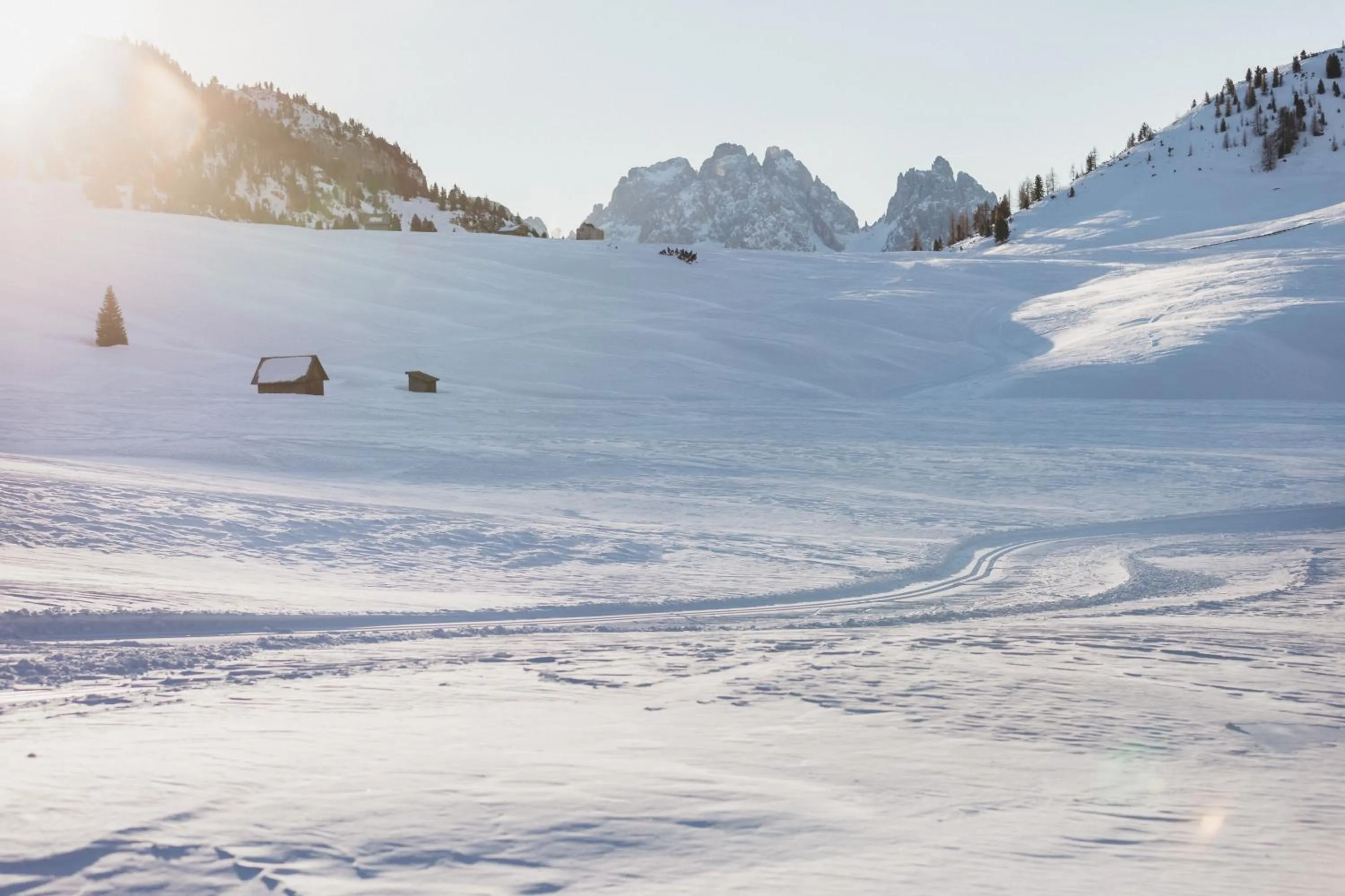 Natural landscape in Hotel Rudolf