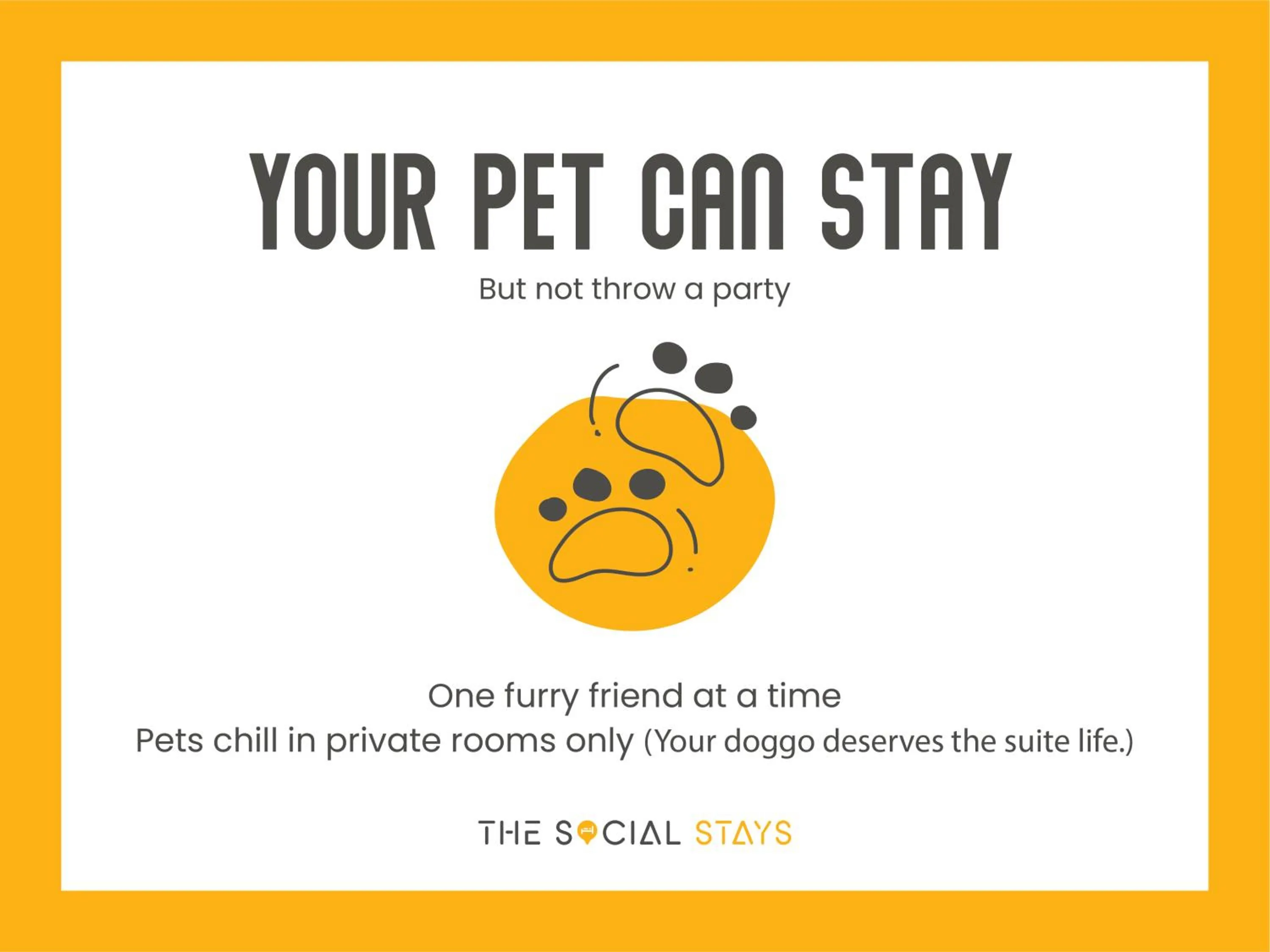 Pets in The Social Stays Mussoorie
