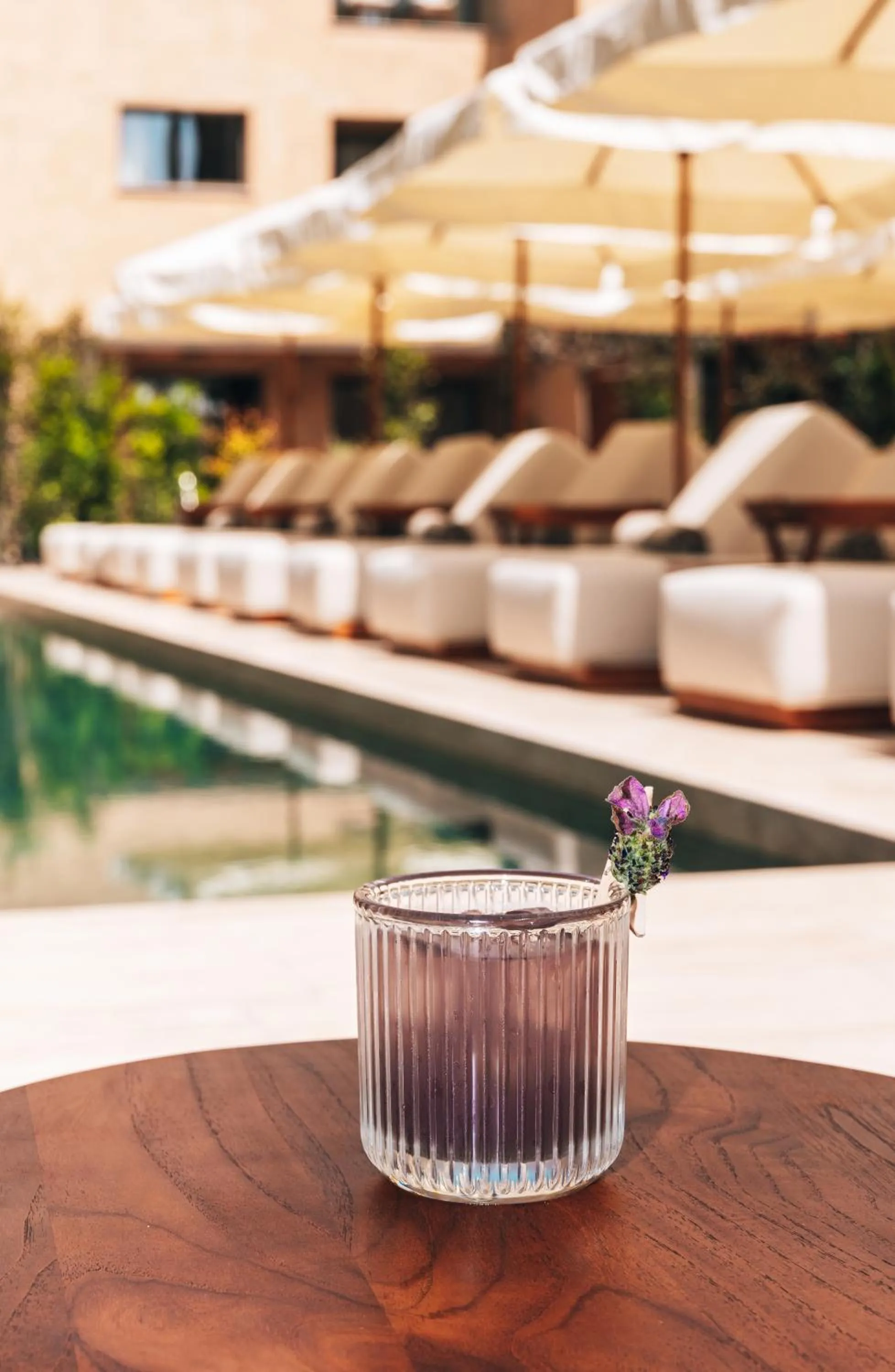 Swimming pool in M Boutique Hotel - Designed for Adults