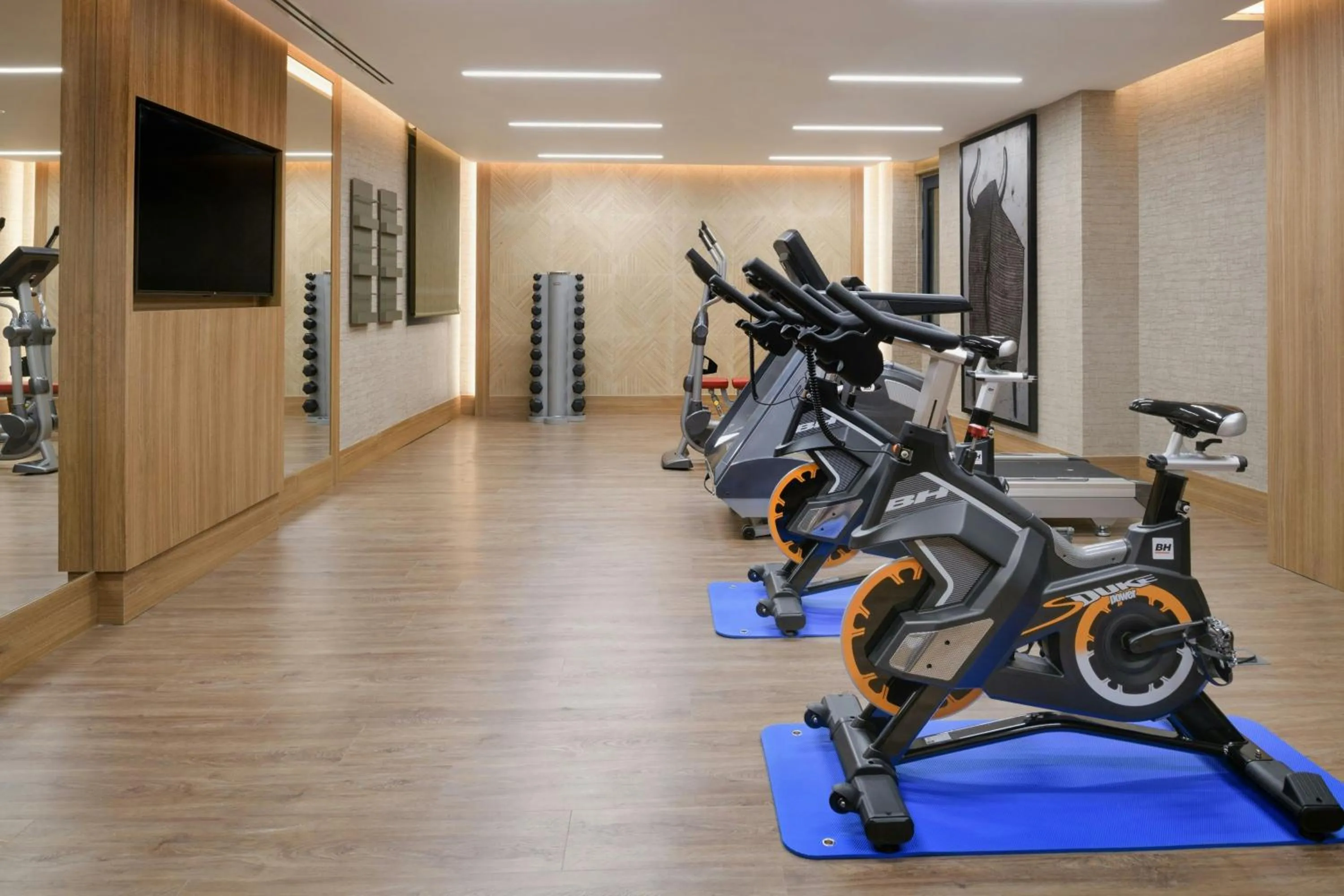 Fitness centre/facilities in Querencia de Sevilla, Autograph Collection
