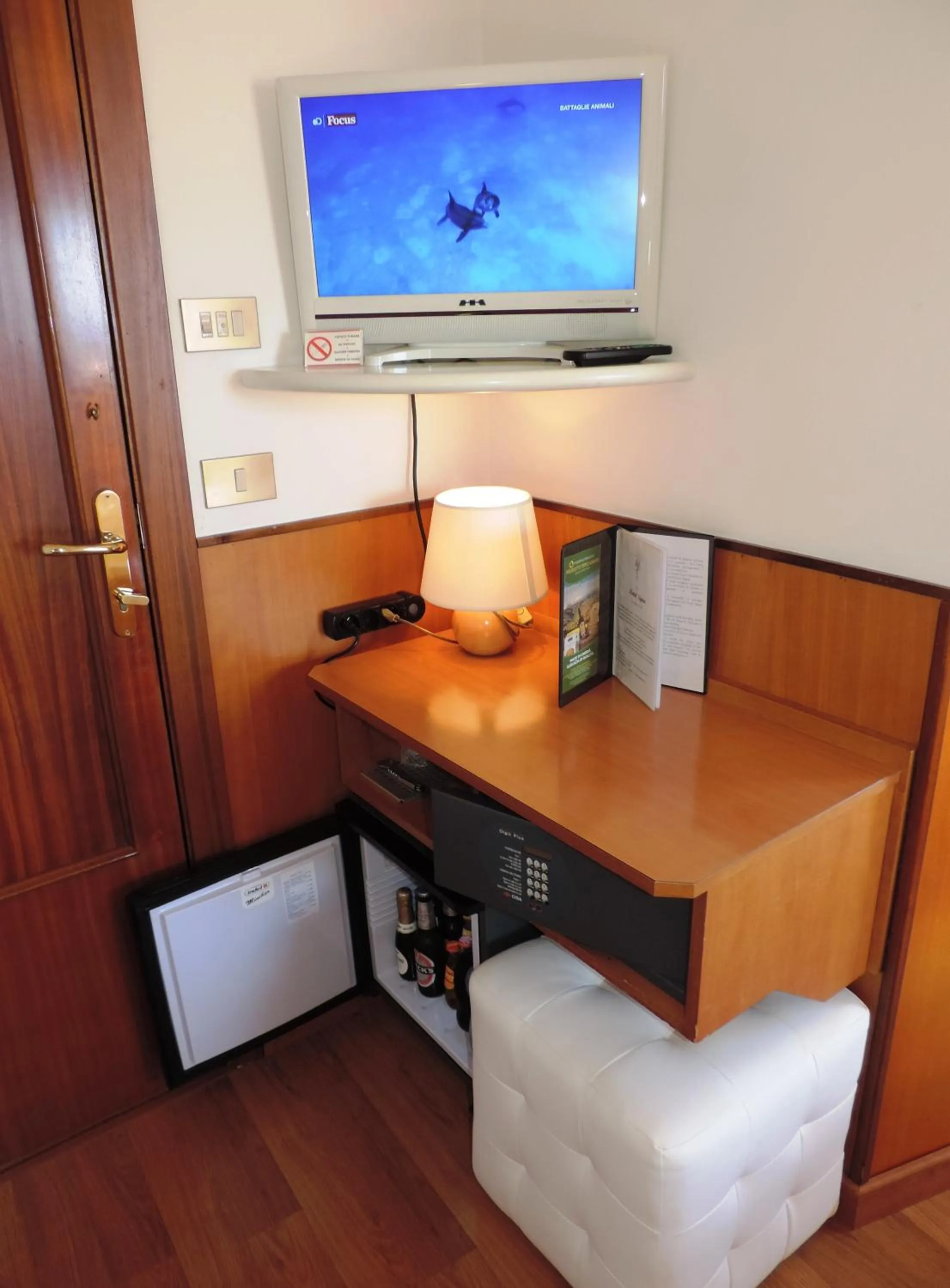 TV and multimedia in Hotel Signa
