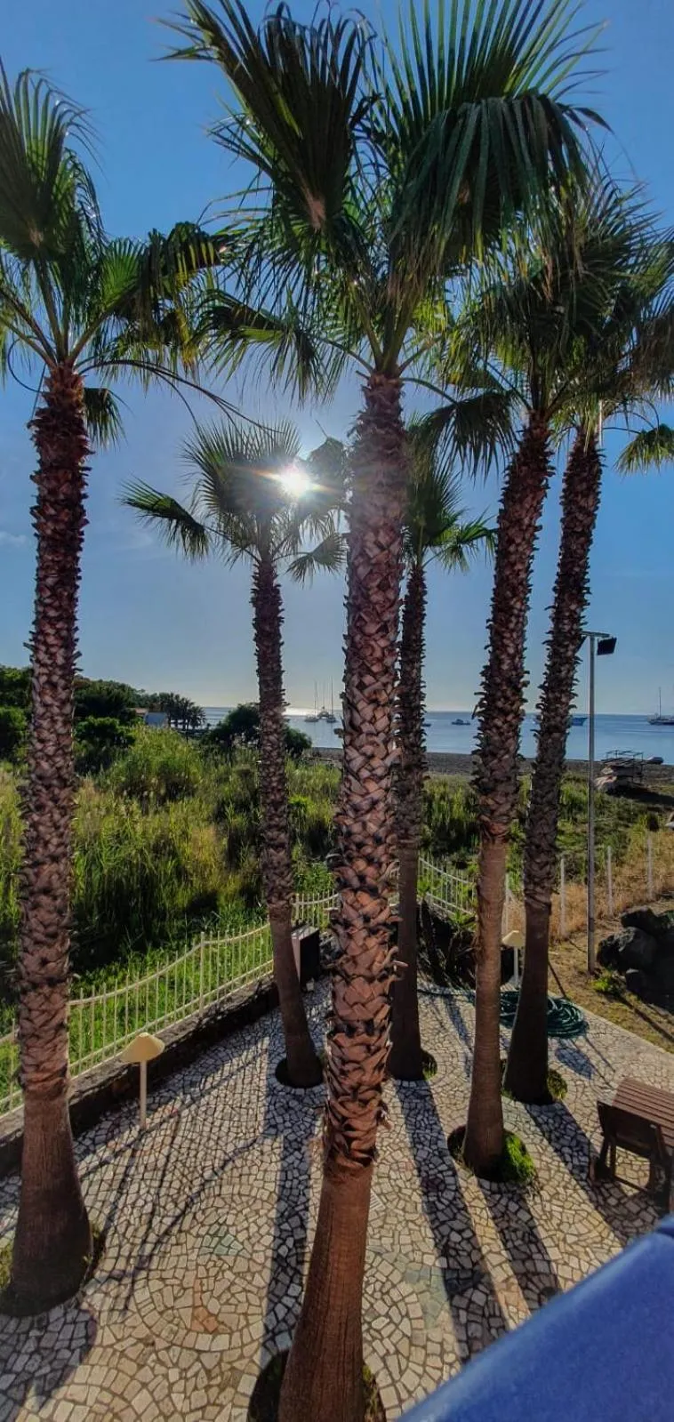 Garden view in Hotel Eros