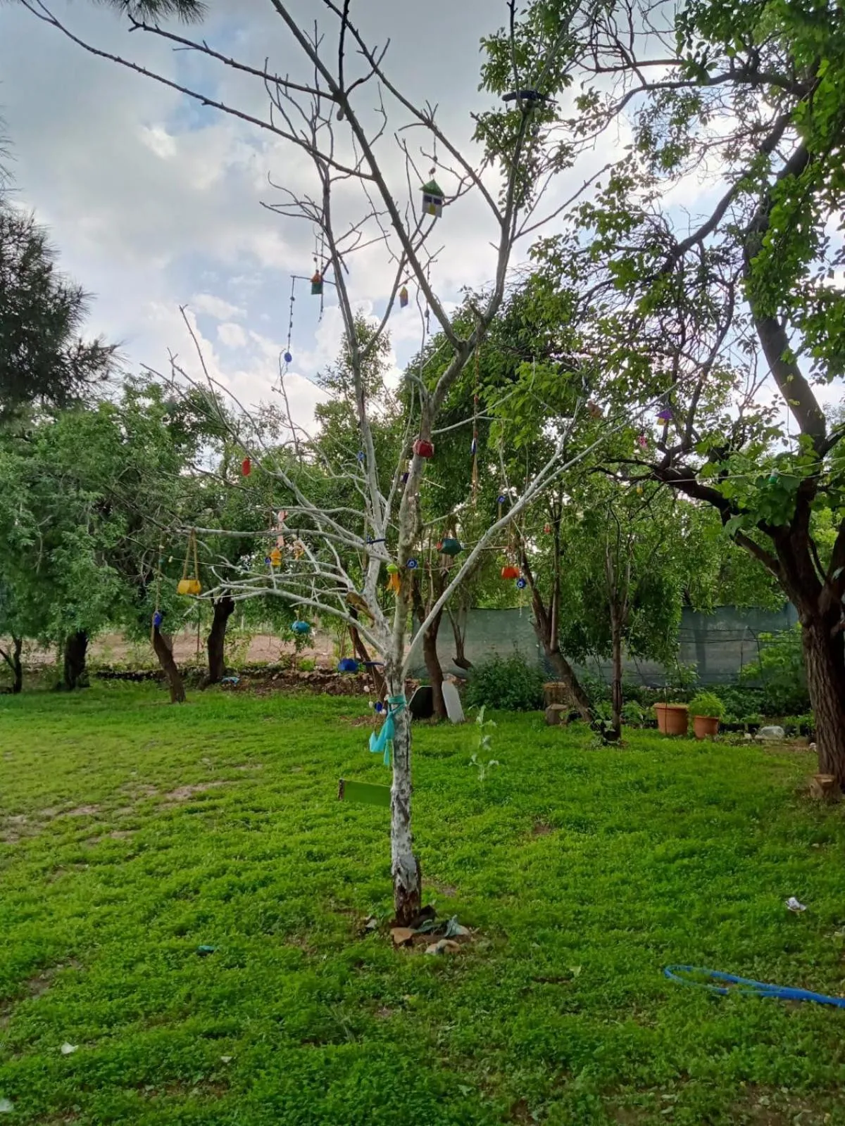 Koca Kapı Konaklama