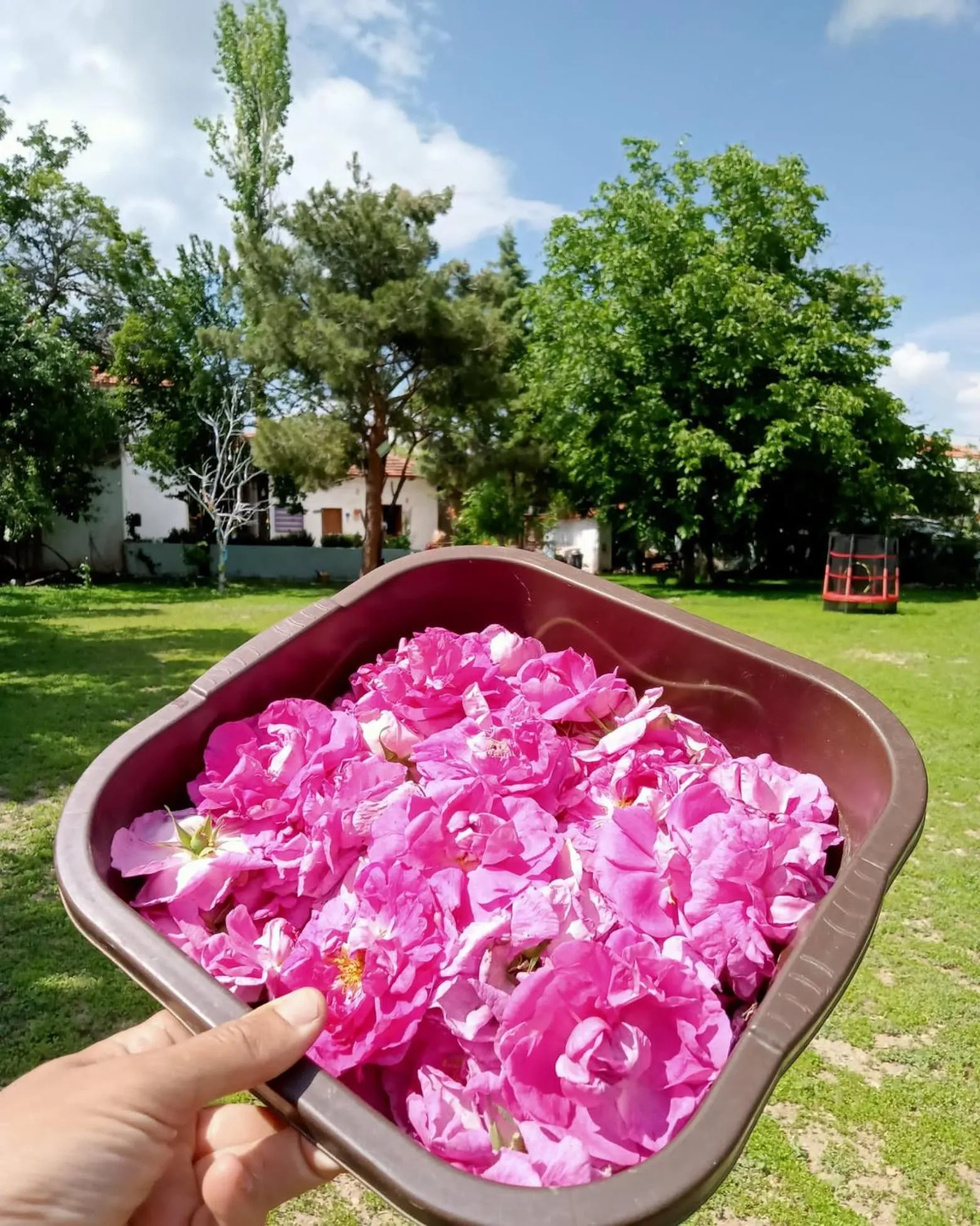 Koca Kapı Konaklama